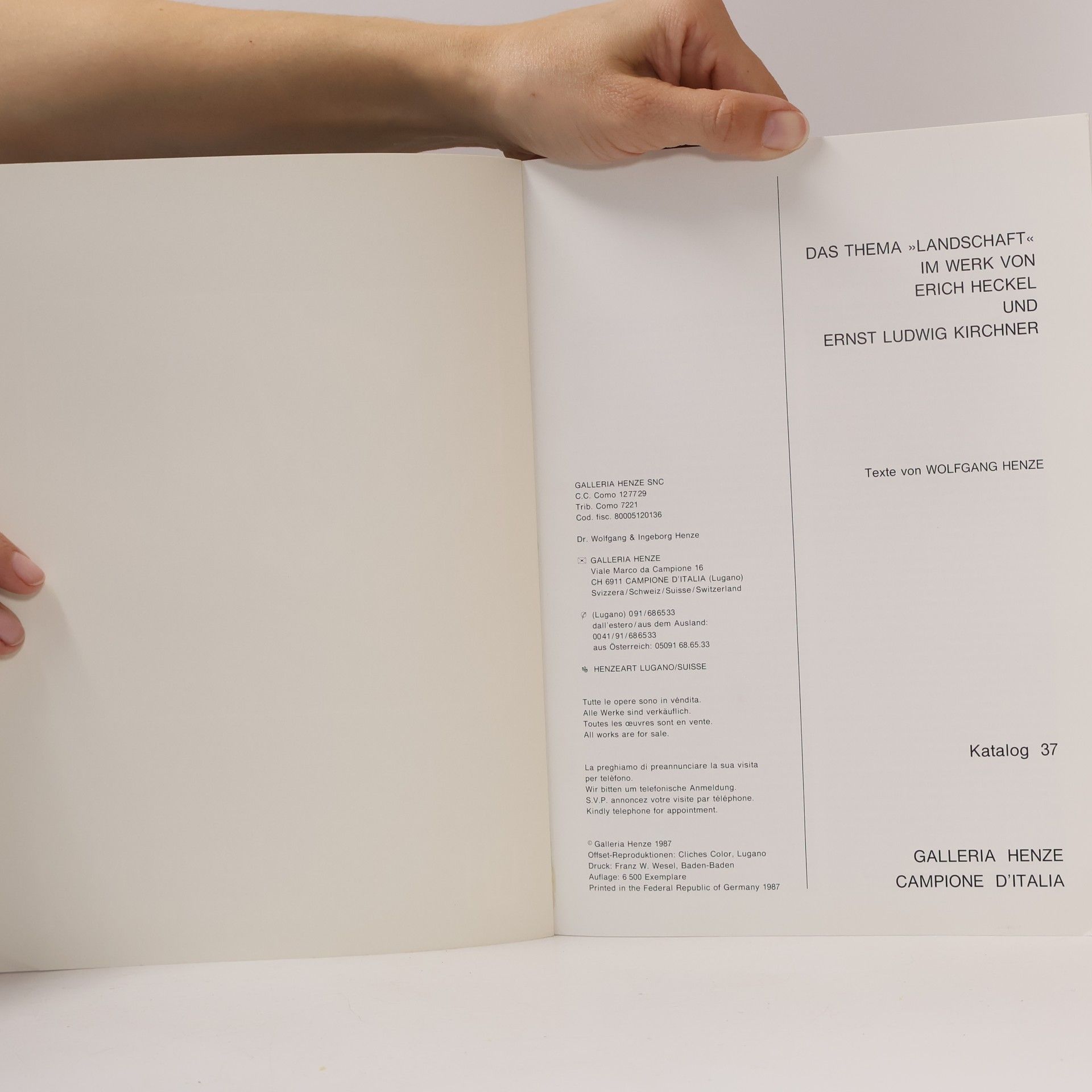 Wolfgang Henze Landschaft 37