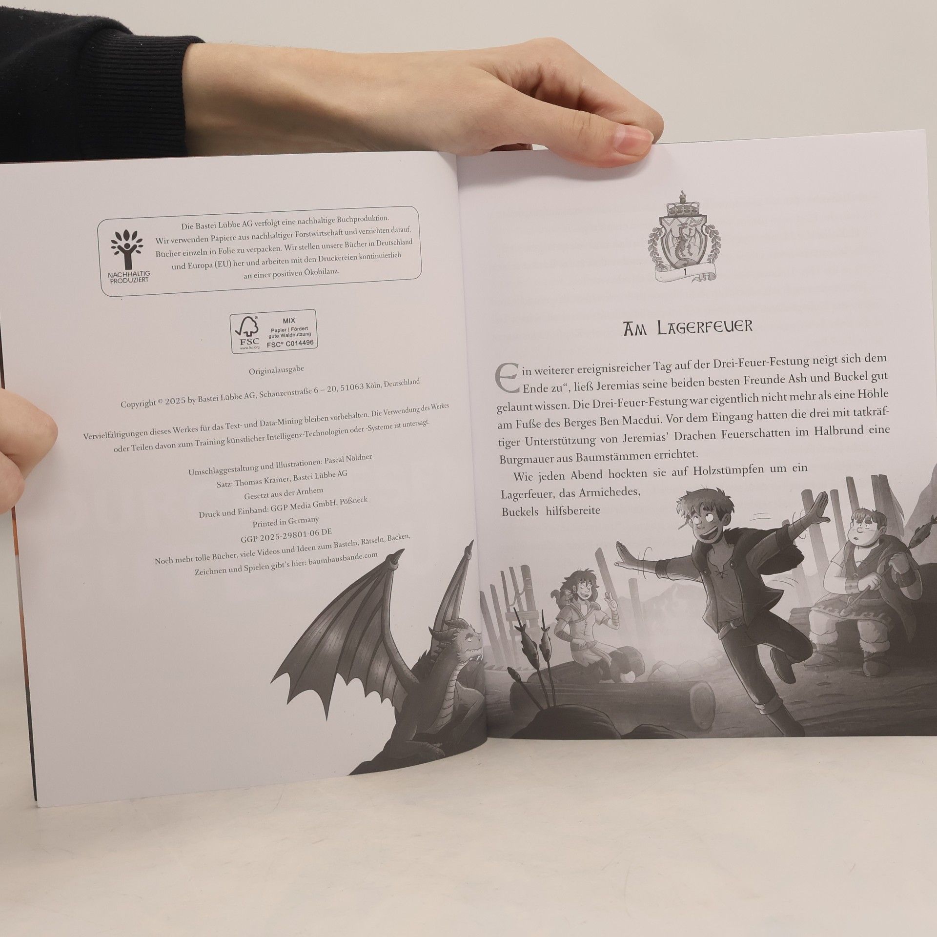 Emily Skye Die geheime Drachenschule. Die Fährende Bibliothek