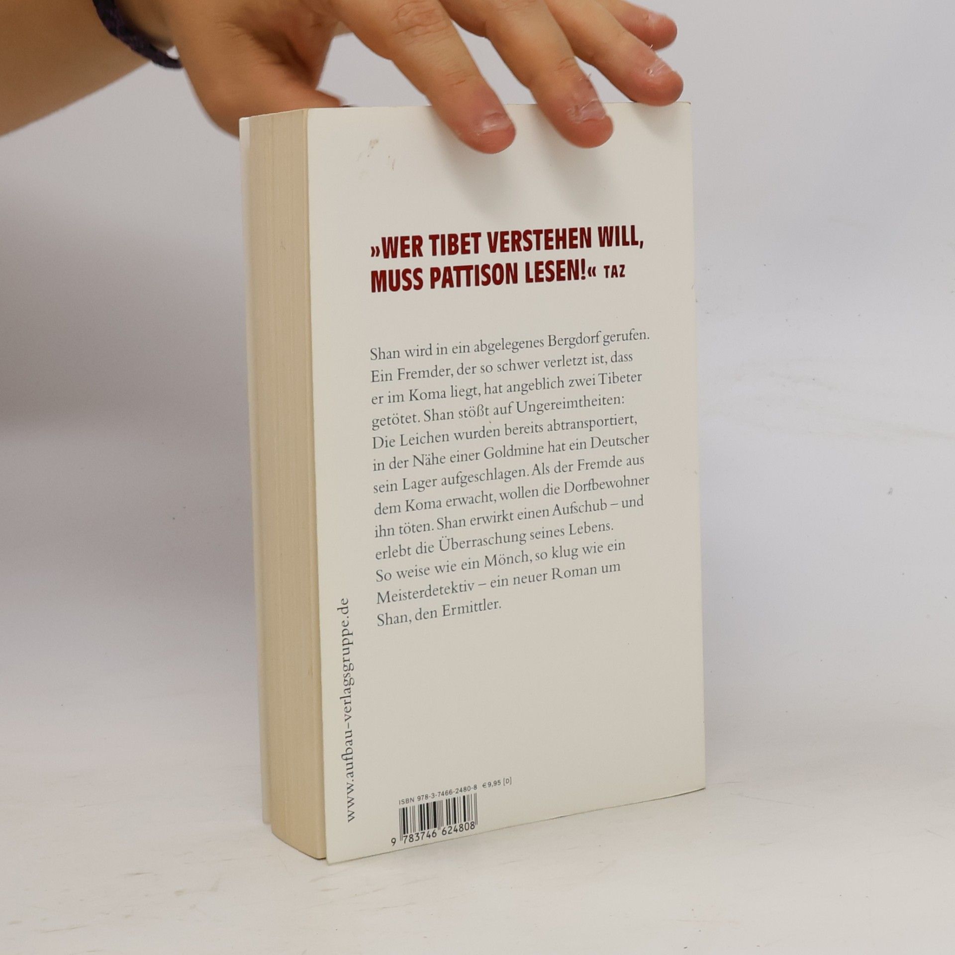 Eliot Pattison Der Berg der toten Tibeter