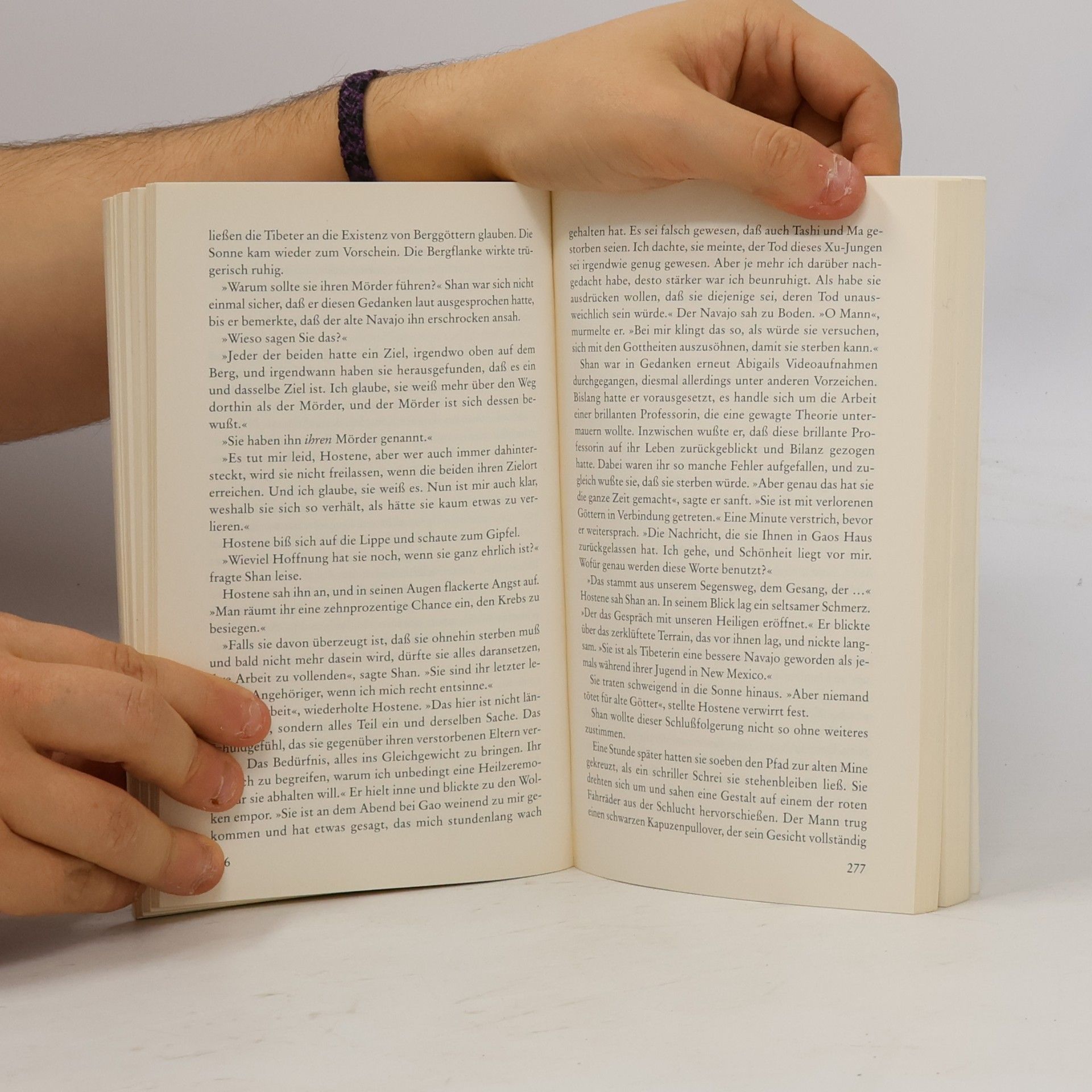 Eliot Pattison Der Berg der toten Tibeter