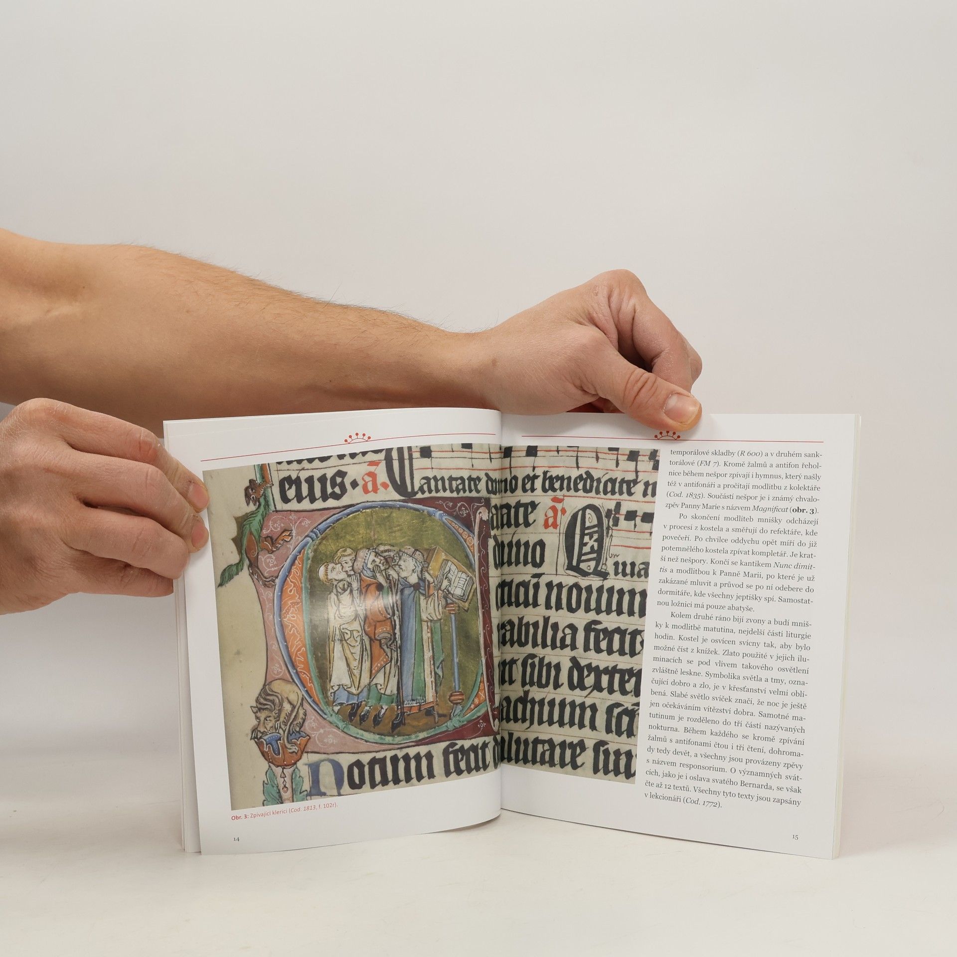 Milada Studničková Eliška Rejčka: Dar středověku