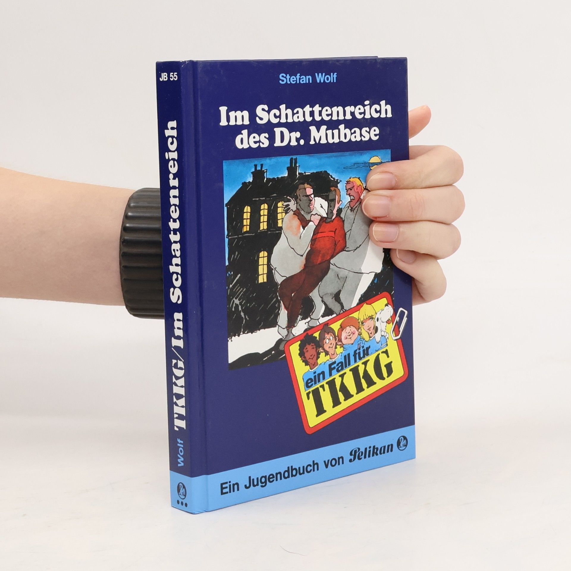Schattenreich des Doktor Mubase