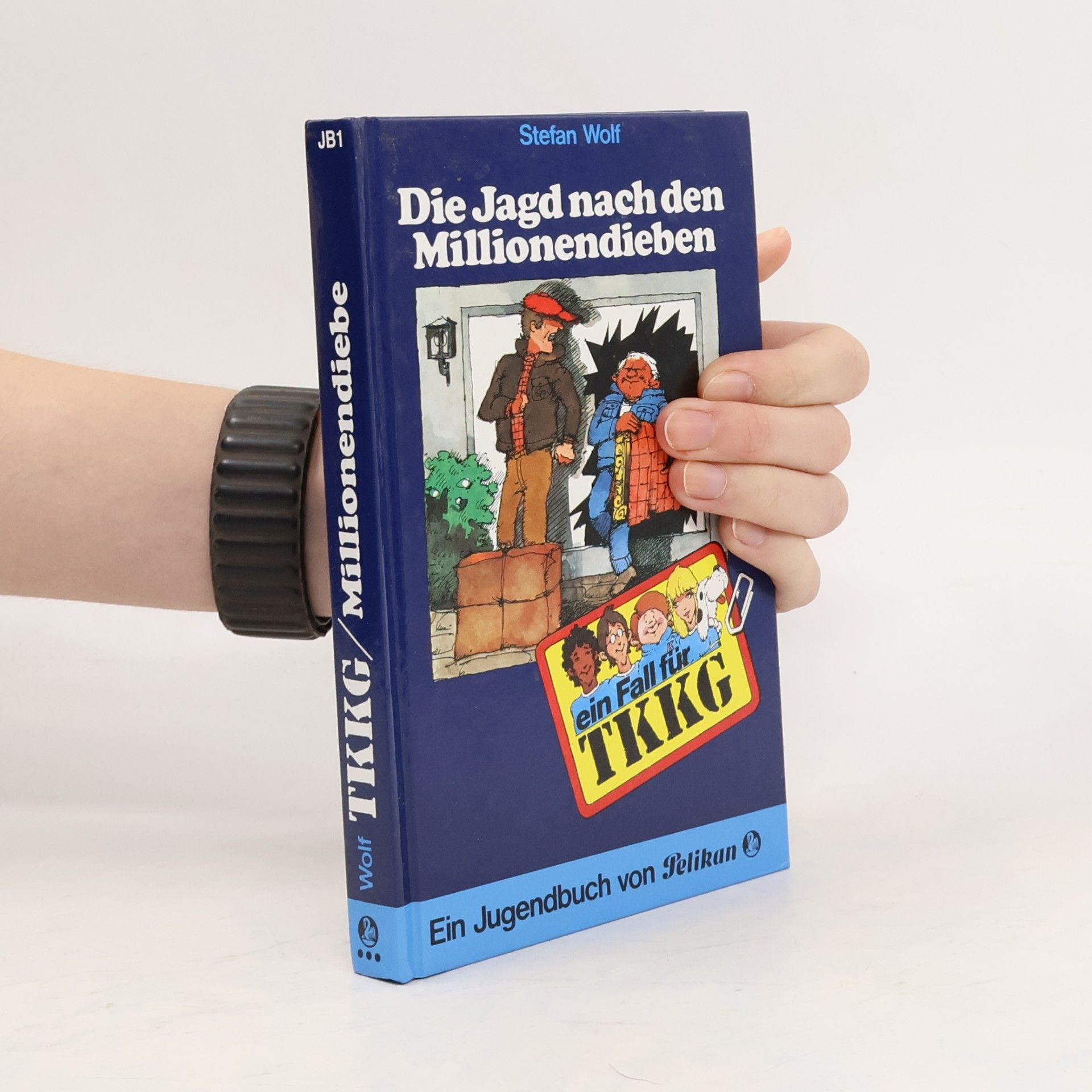 Stefan Wolf Ein Fall für TKKG. Die Jagd nach den Millionendieben