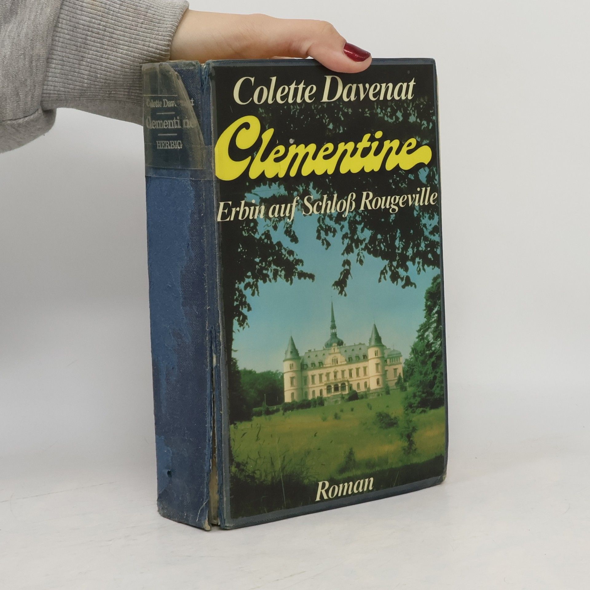 Clementine. Erbin auf Schloß Rougeville