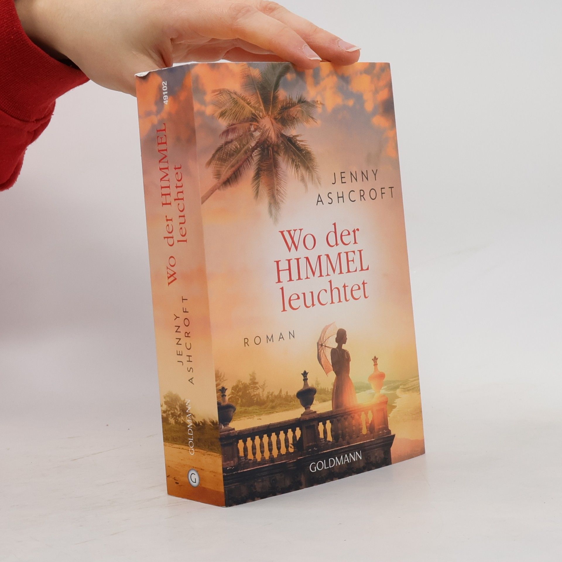 Jenny Ashcroft Wo der Himmel leuchtet