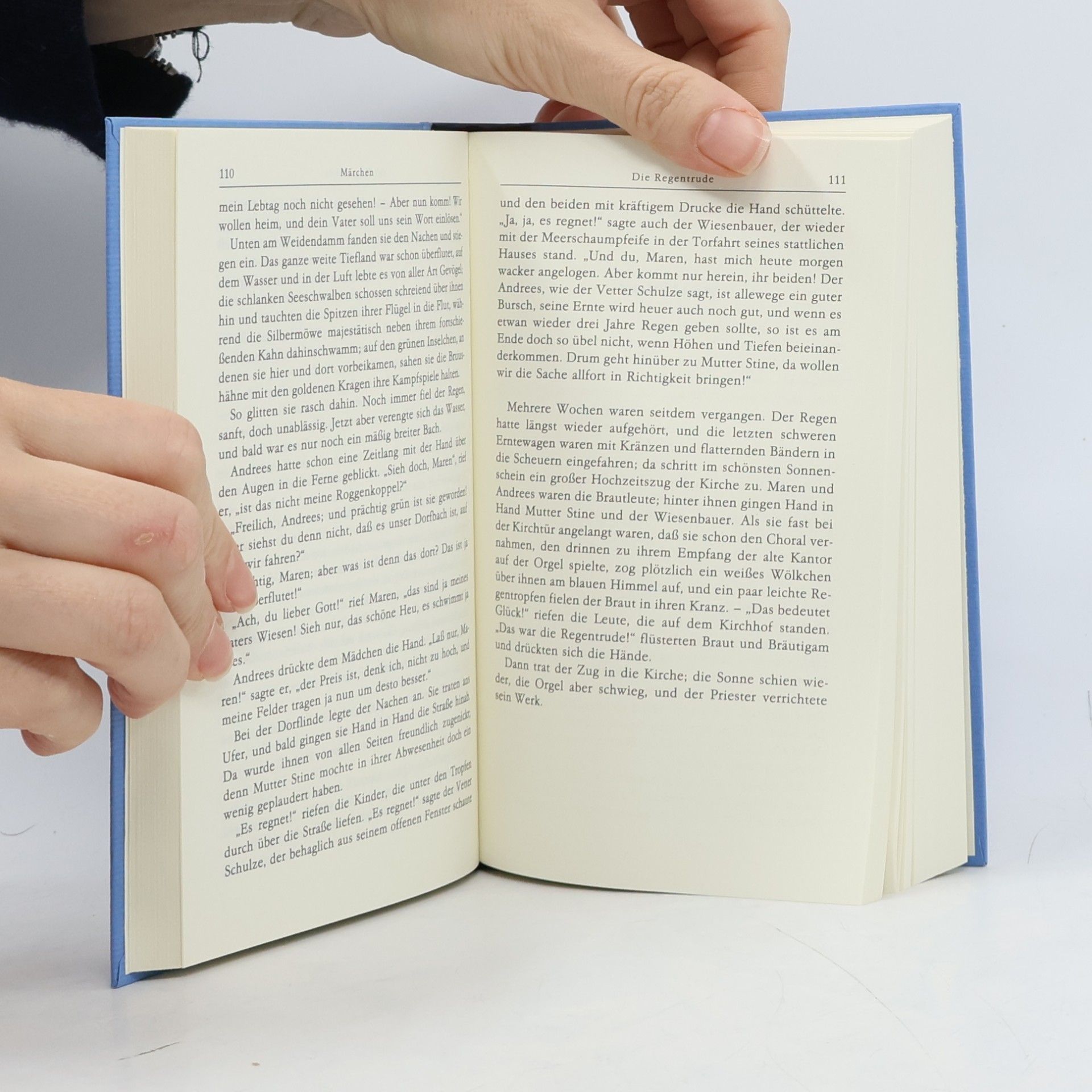 Theodor Storm Bibliothek deutscher Klassiker. Eine Auswahl in 12 Bänden. Storm