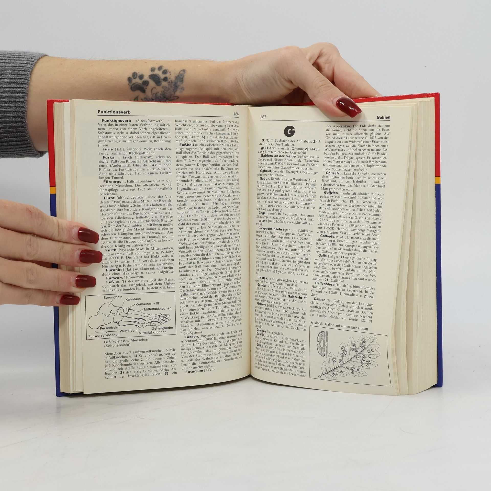 Autores varios Schülerduden. Das Wissen von A-Z