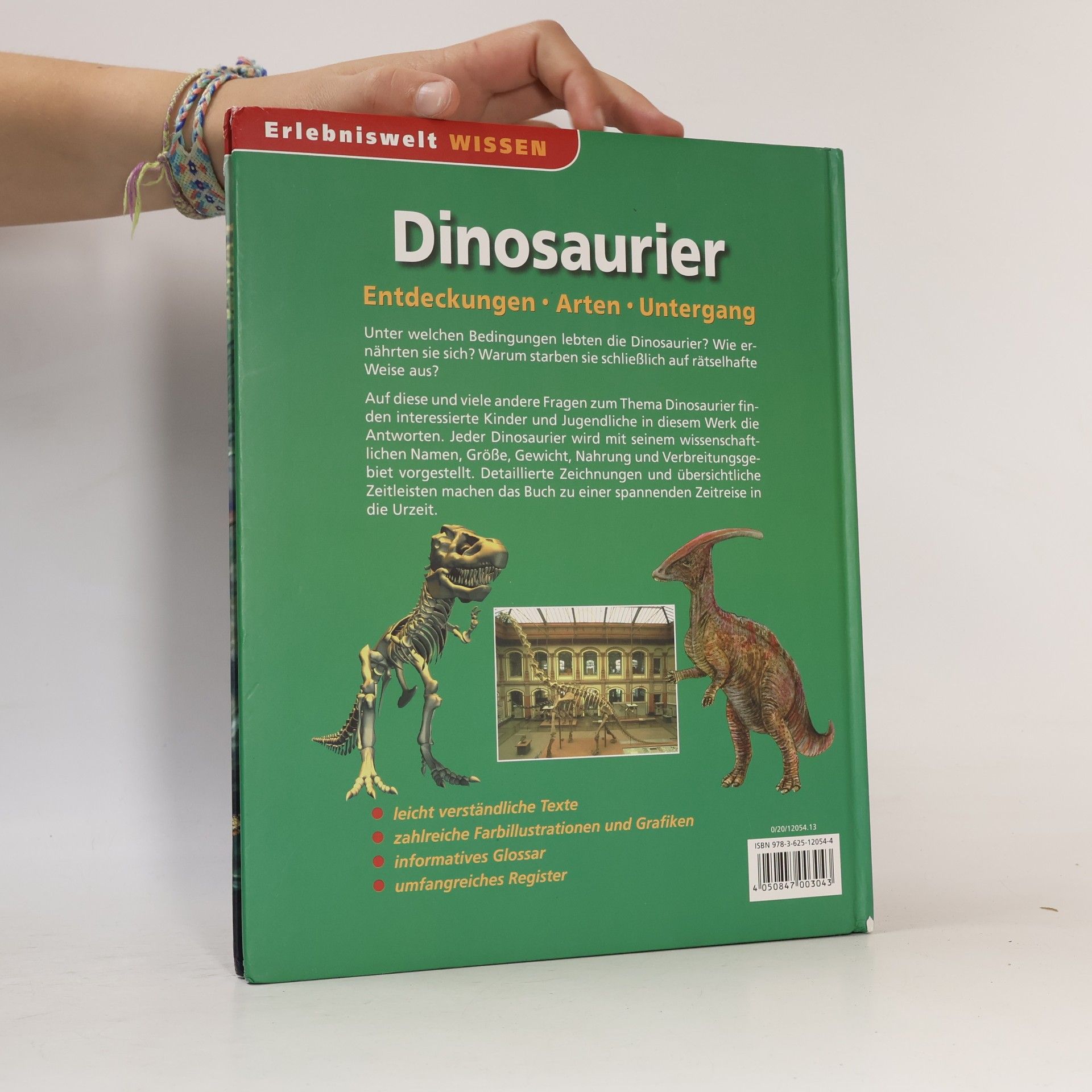 Kolektív autorov Dinosaurier