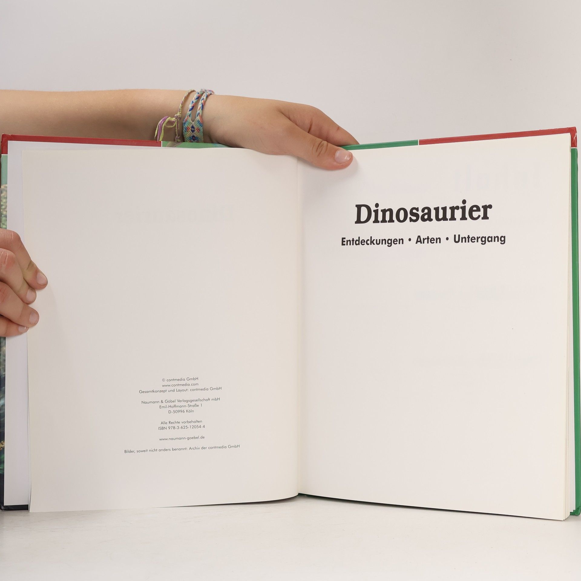 Kolektív autorov Dinosaurier