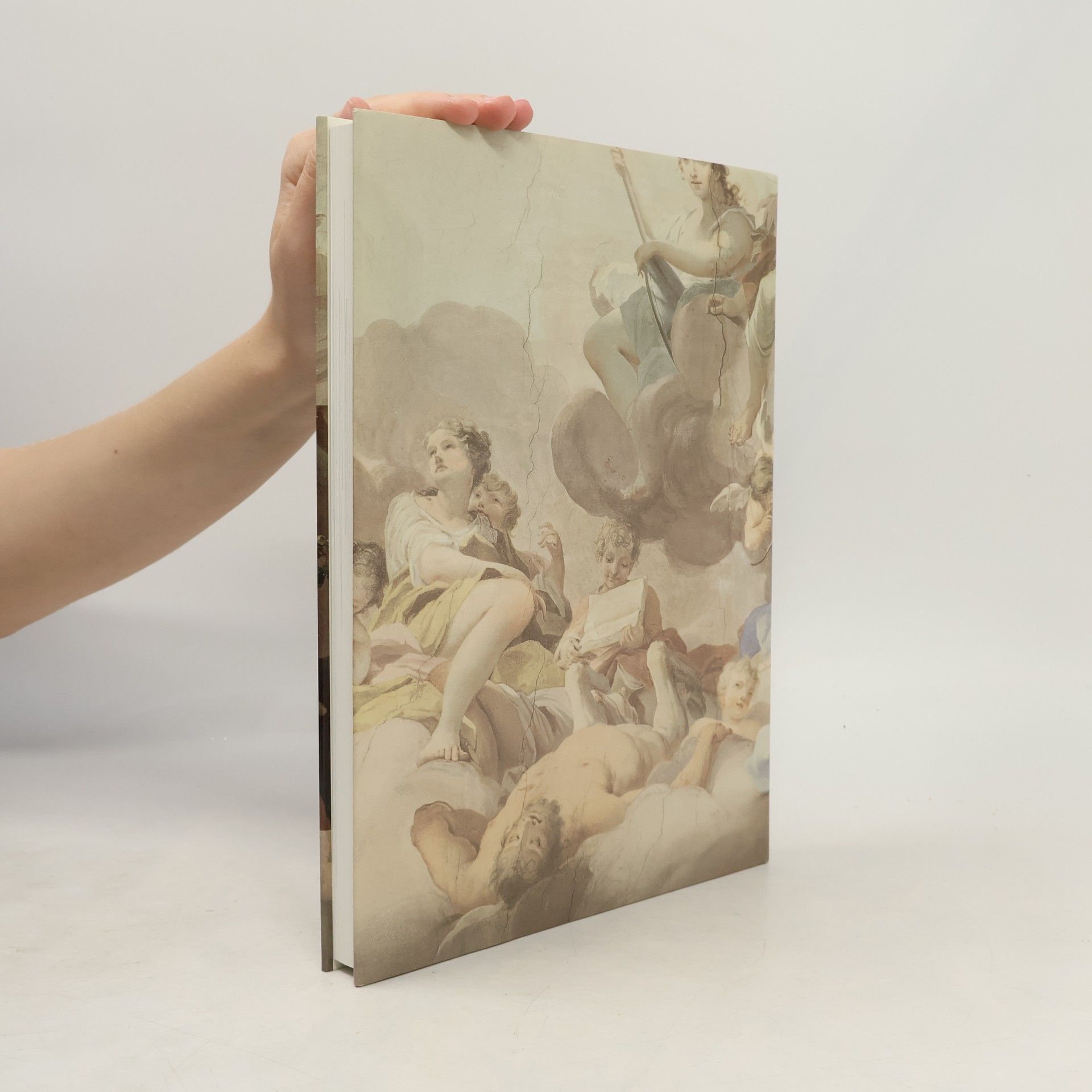 Various authors Pittura murale in Italia