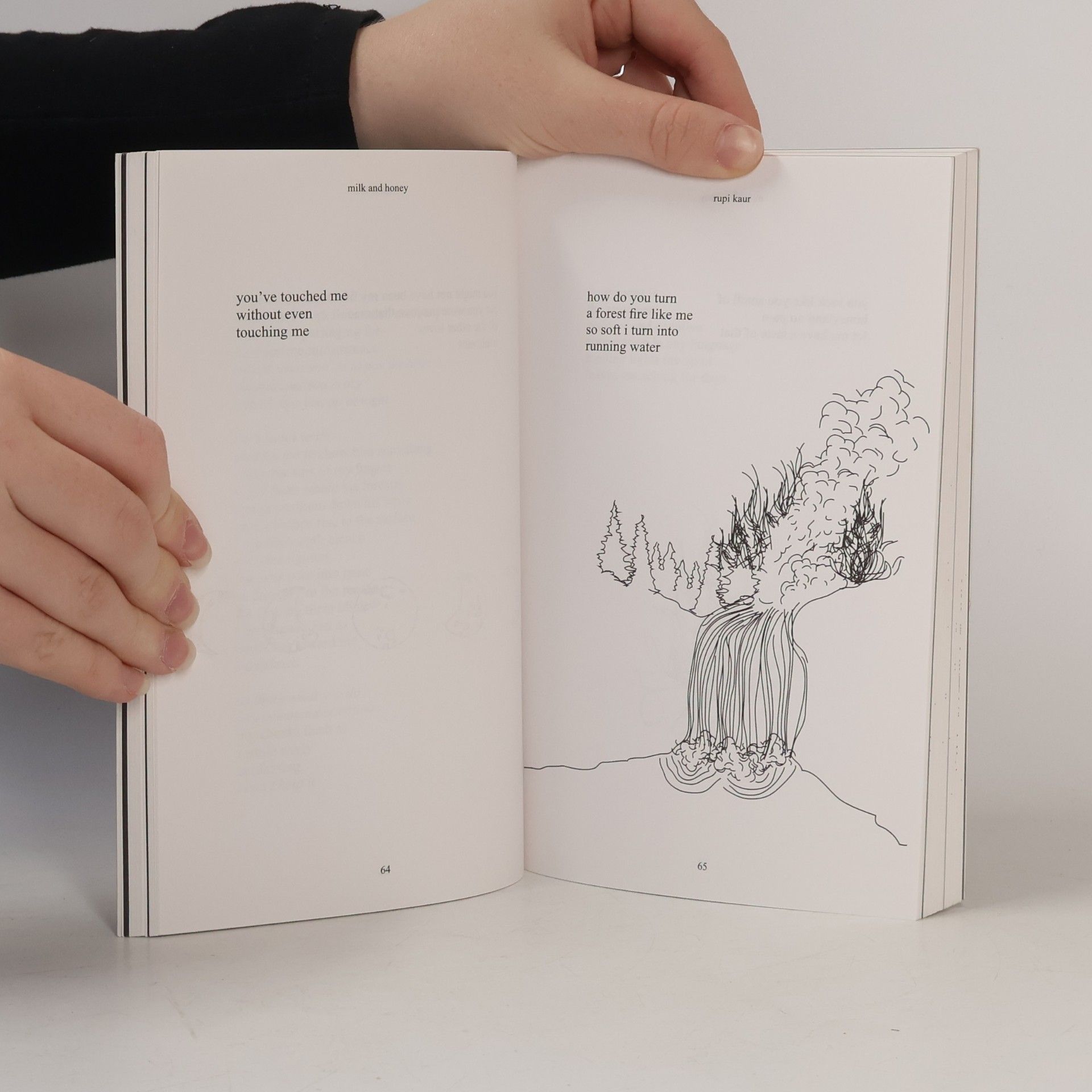 Rupi Kaur Milk and Honey