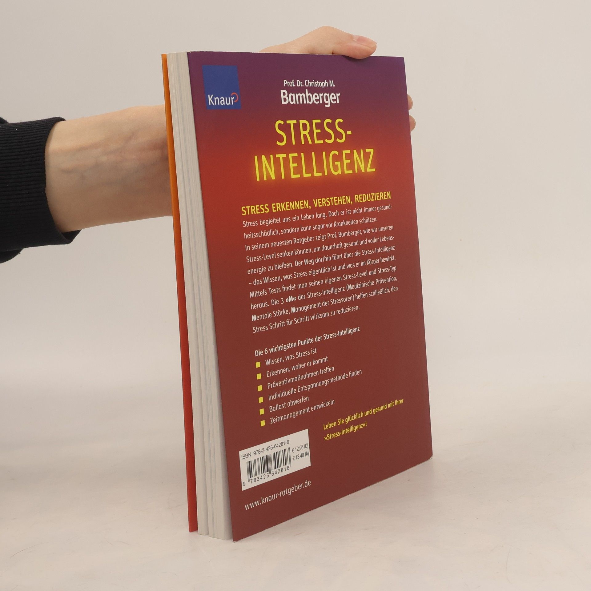Christoph Marcus Bamberger Stress-Intelligenz