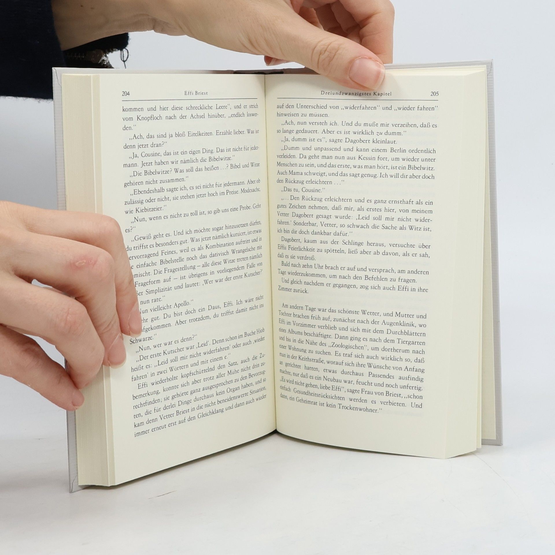 Theodor Fontane Bibliothek deutscher Klassiker. Eine Auswahl in 12 Bänden. Fontane
