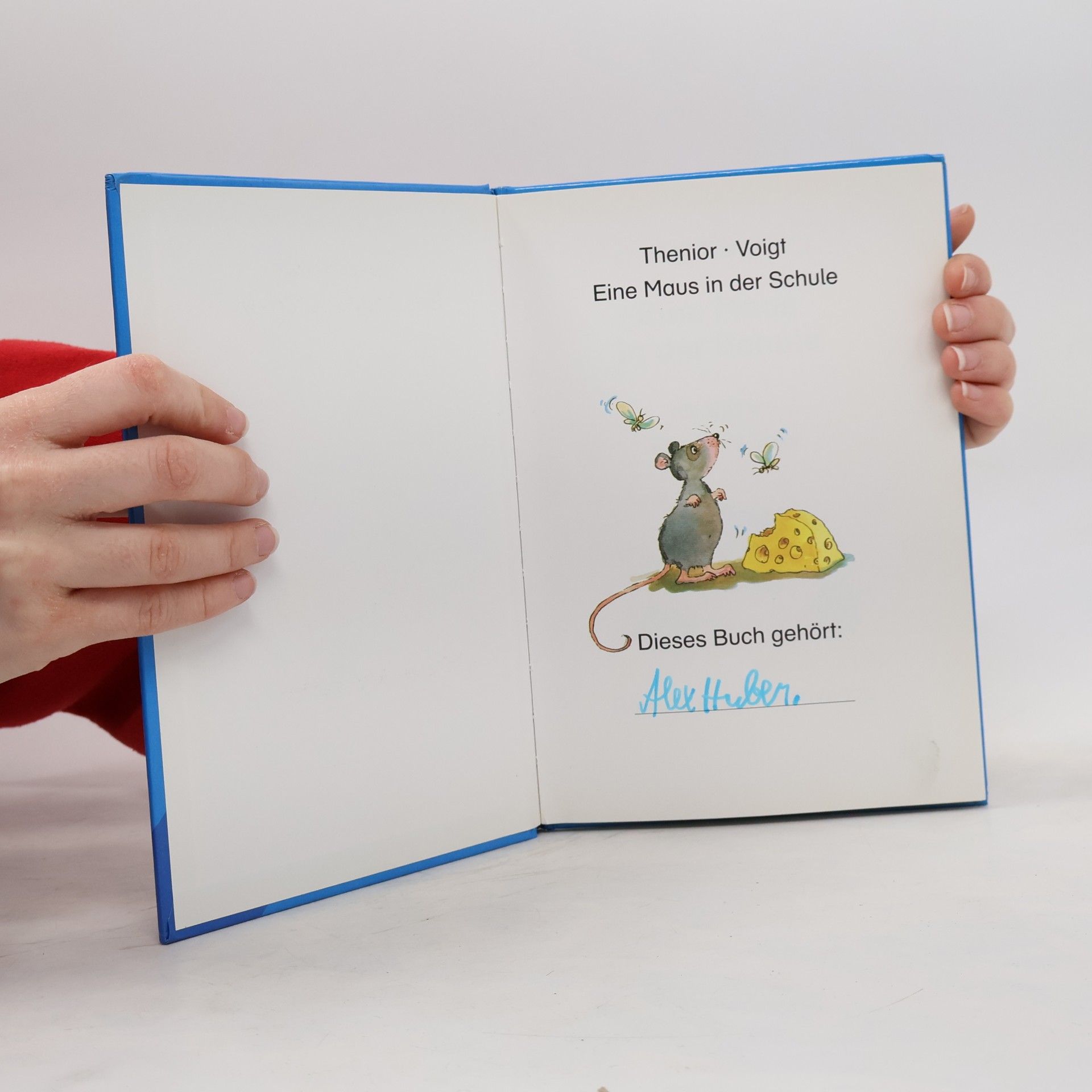 Silke Voigt Eine Maus in der Schule