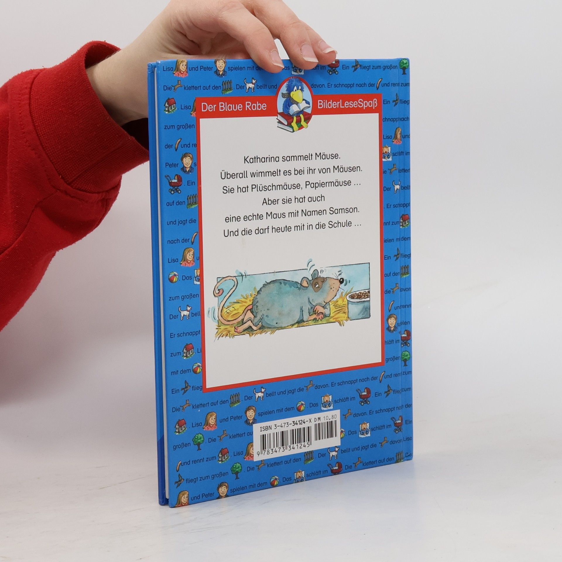 Silke Voigt Eine Maus in der Schule
