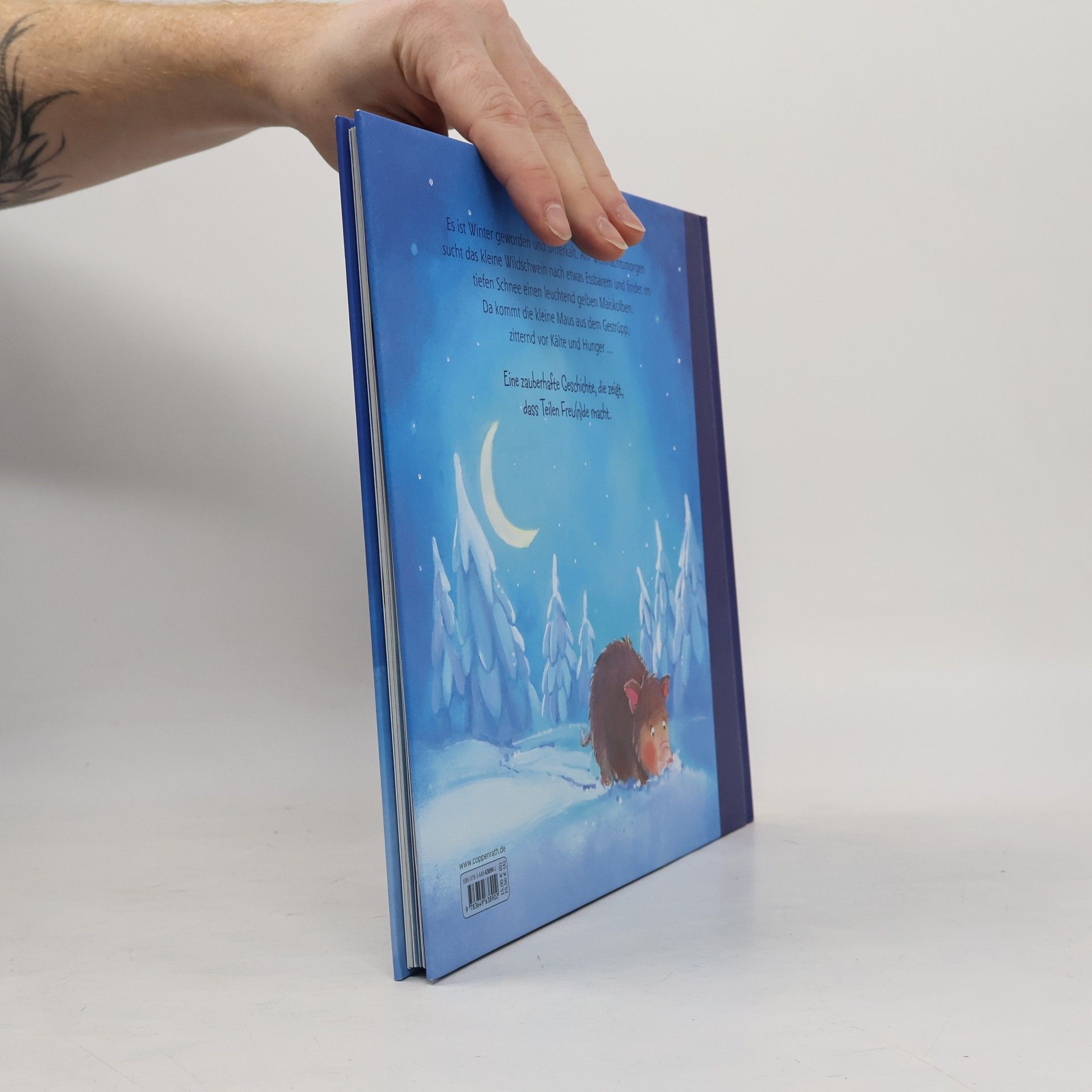 Heidemarie Brosche Ein ganz besonderes Weihnachtsgeschenk
