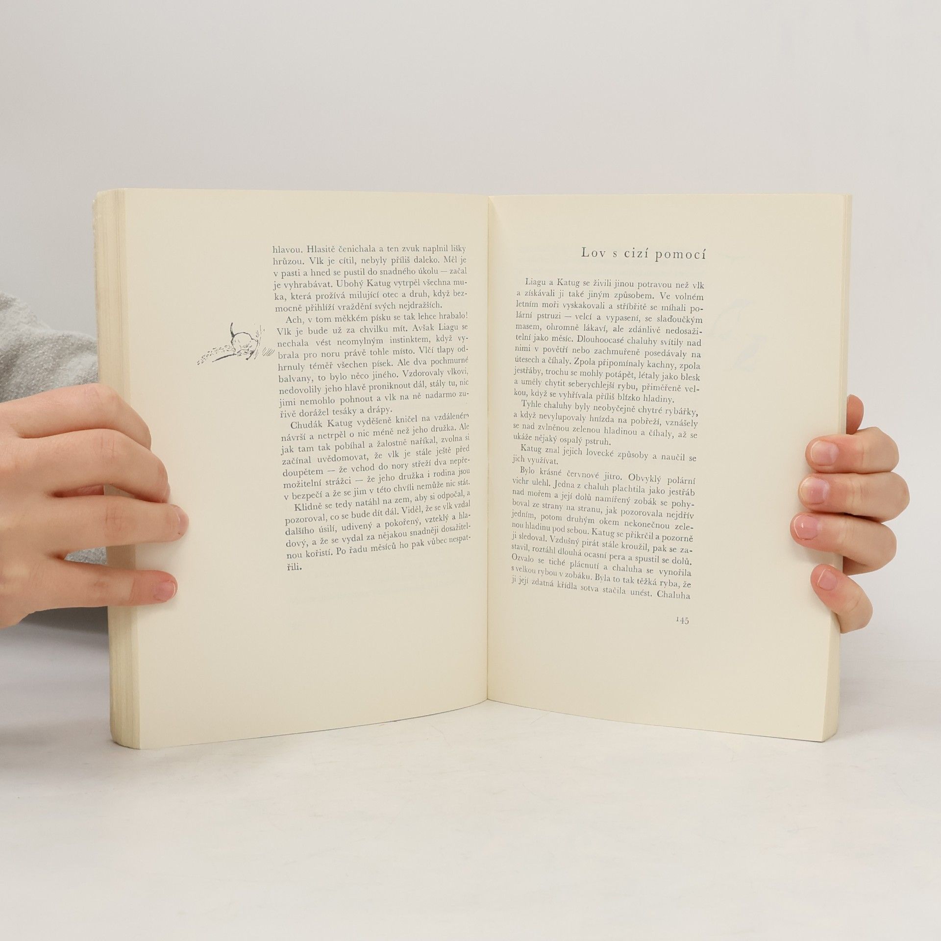 Ernest Thompson Seton Povídky od táborového ohně
