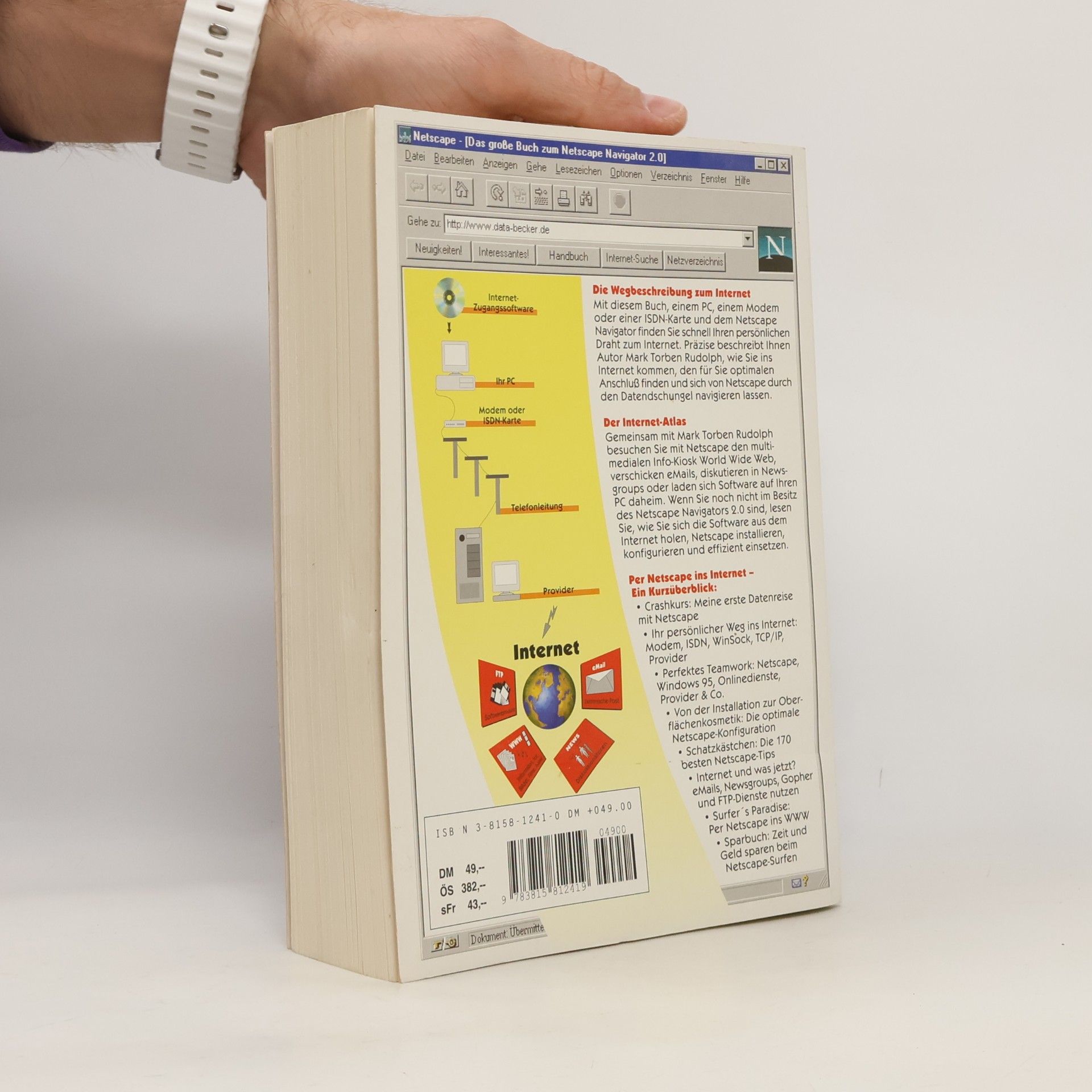 Mark Torben Rudolph Das grosse Buch zum Netscape Navigator 2.0