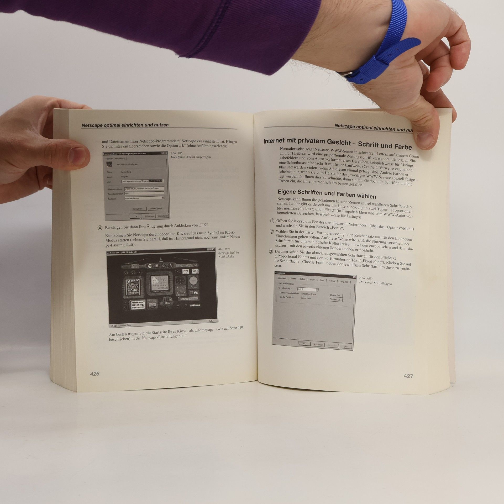 Mark Torben Rudolph Das grosse Buch zum Netscape Navigator 2.0