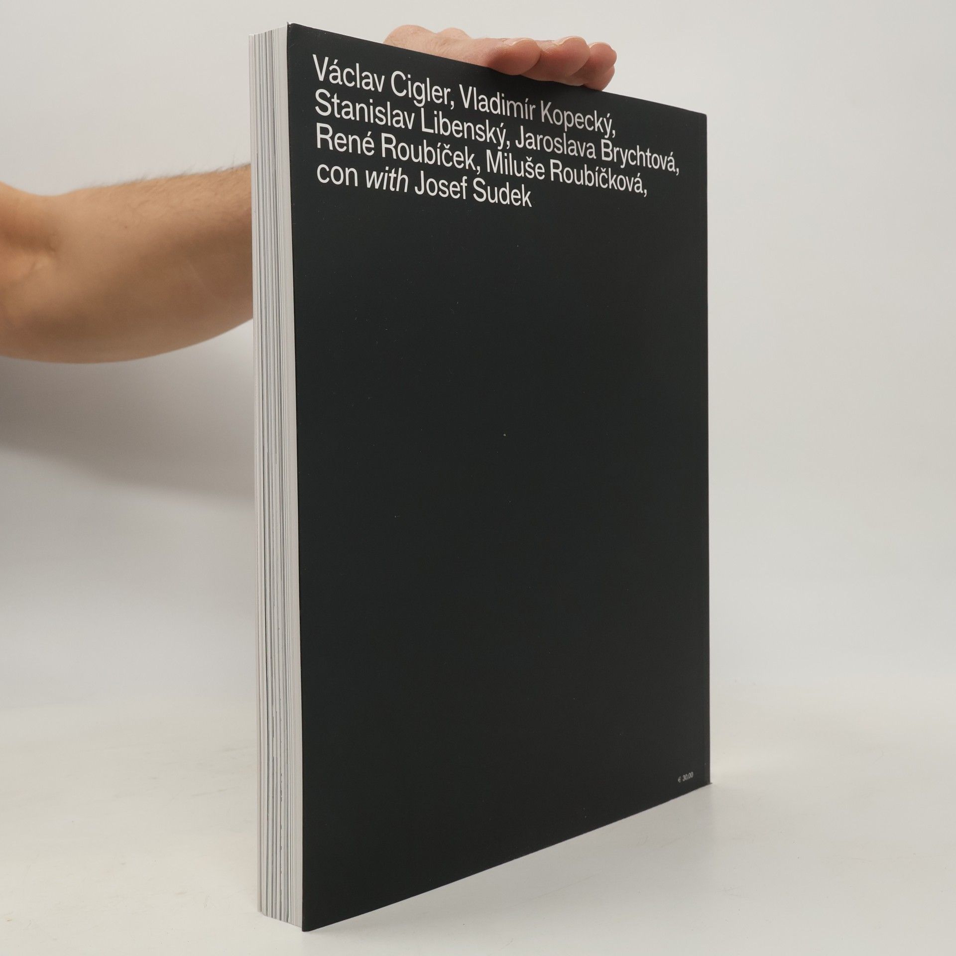 Various authors Vetro boemo: i grandi maestri. Bohemian Glass: The Great Masters