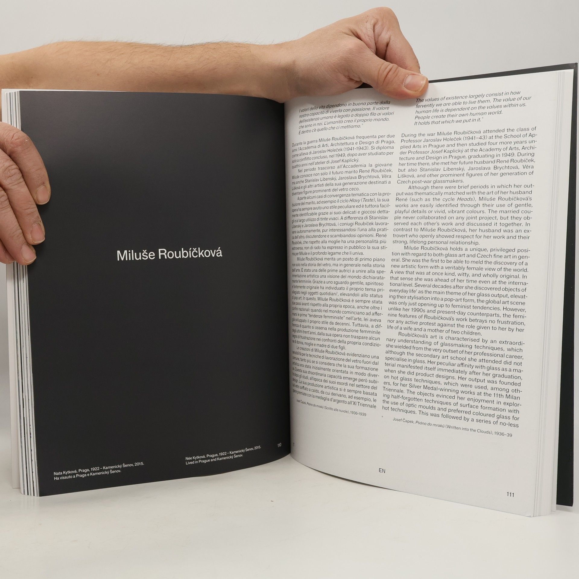Various authors Vetro boemo: i grandi maestri. Bohemian Glass: The Great Masters