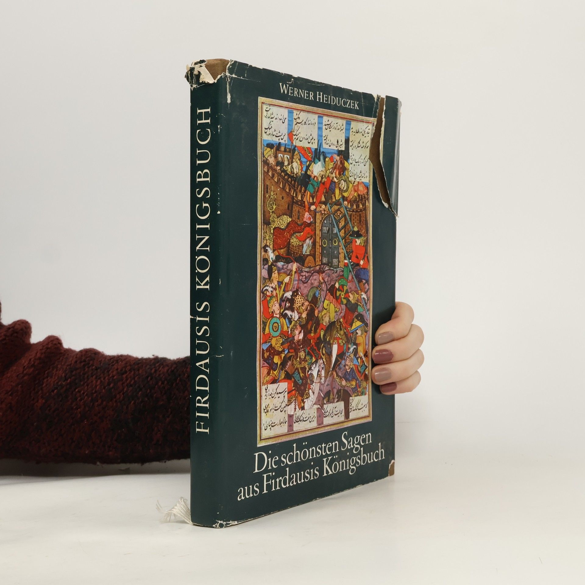 Die schönsten Sagen aus Firdausis Königsbuch