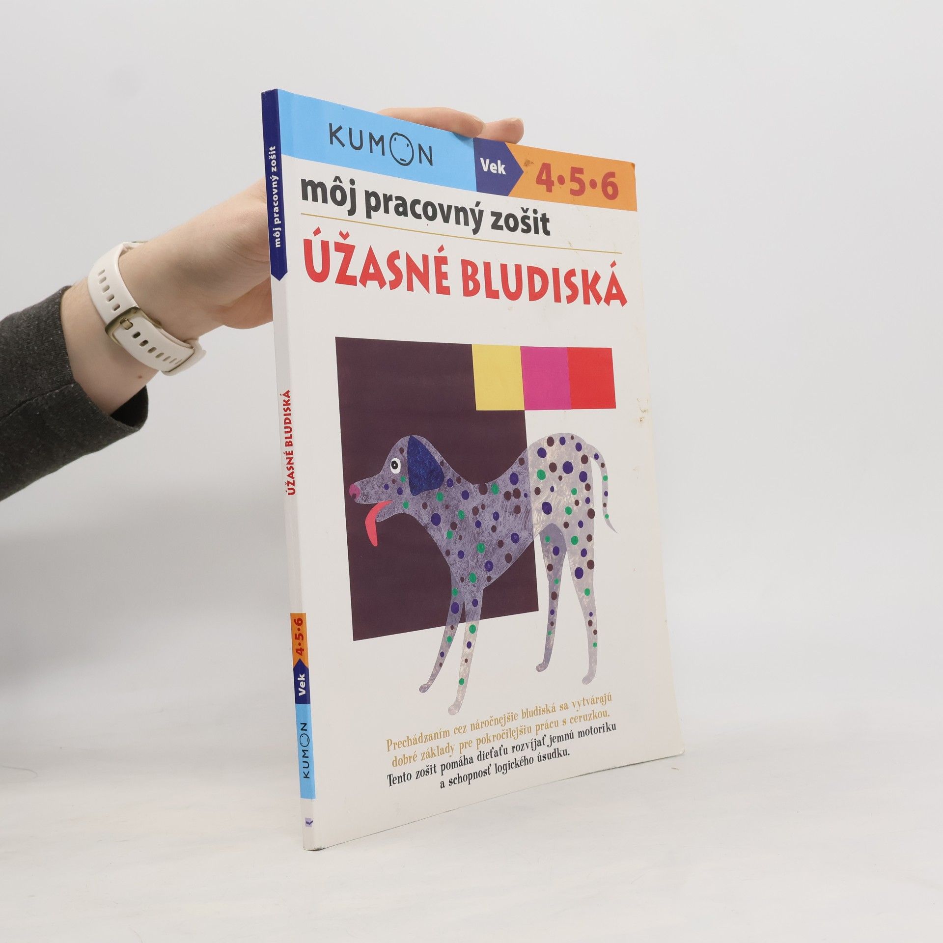 Karakido Toshihiki a Môj pracovný zošit Úžasné bludiská