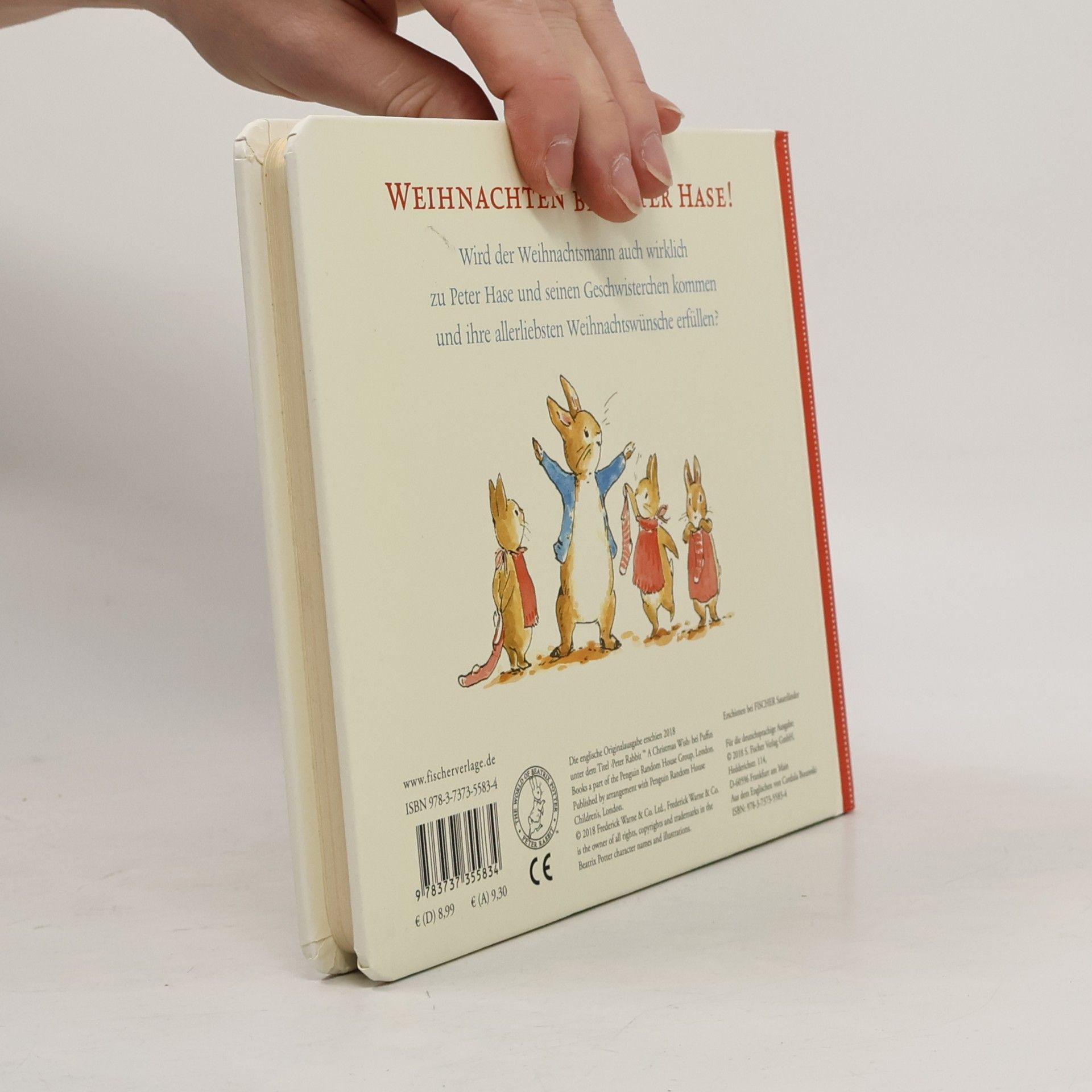 Beatrix Potter Peter Hase - der Weihnachtswunsch