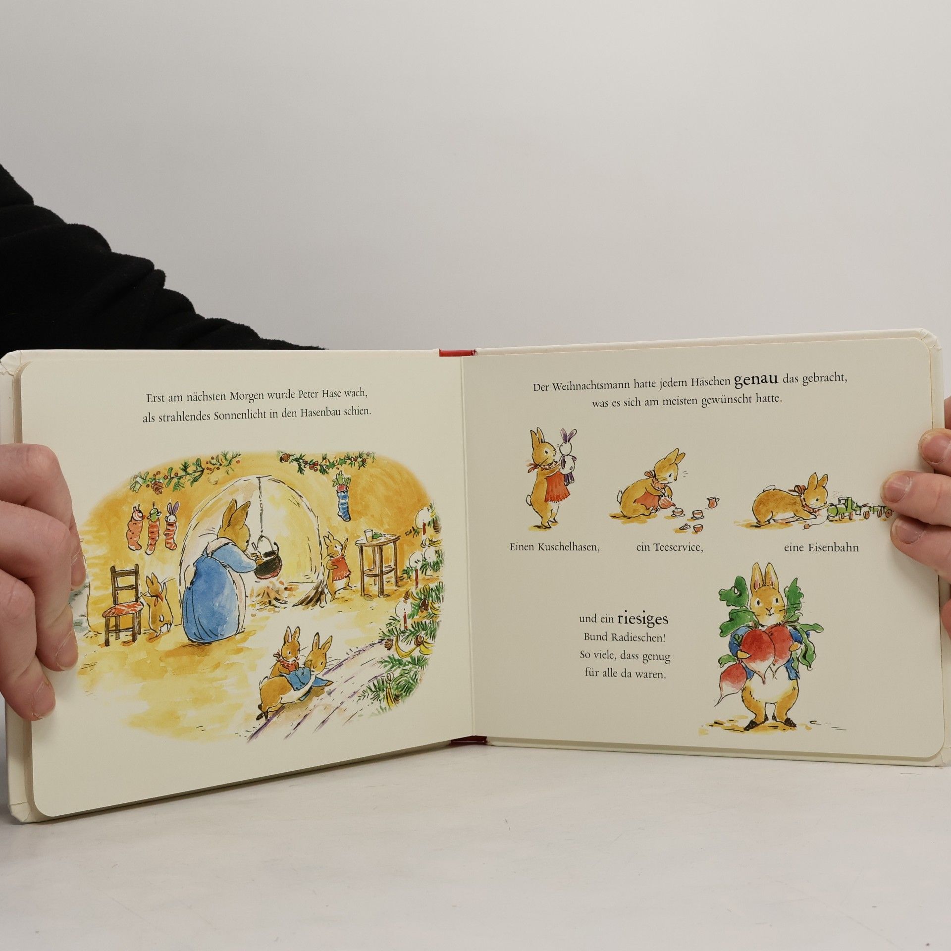 Beatrix Potter Peter Hase - der Weihnachtswunsch