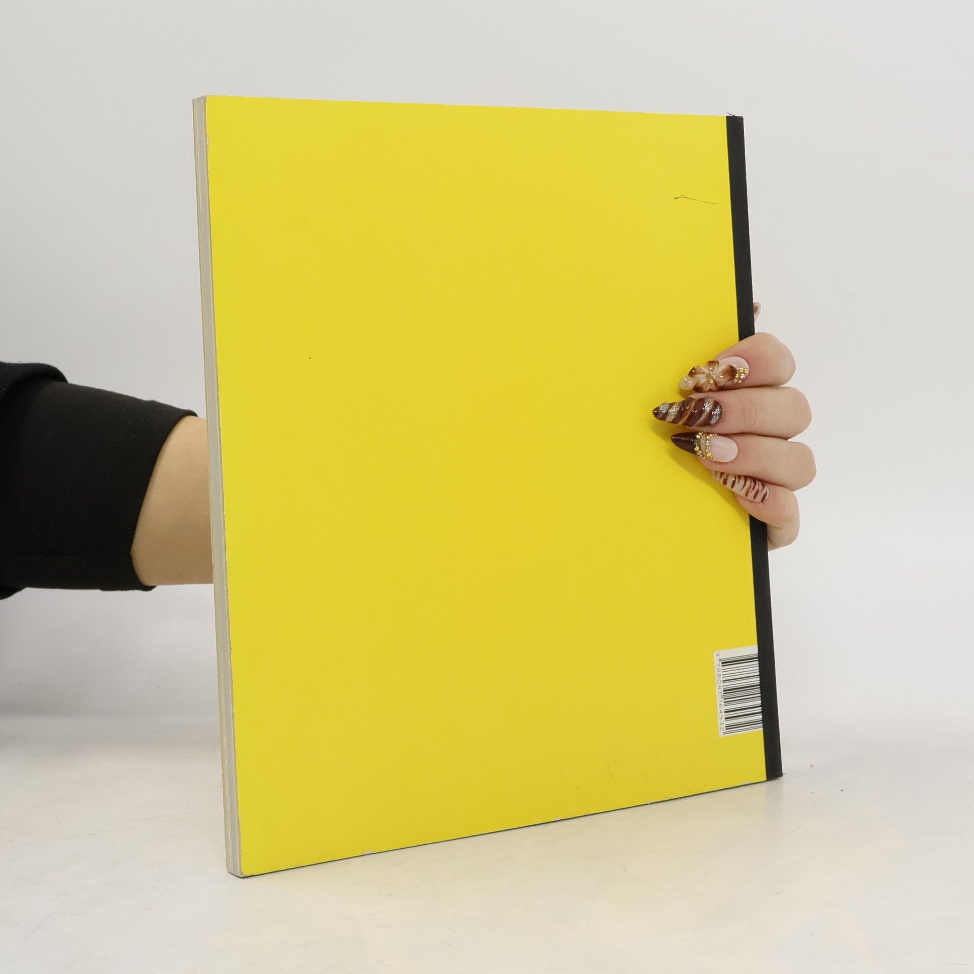 Tomáš Císařovský Žlutá skvrna / Yellow spot