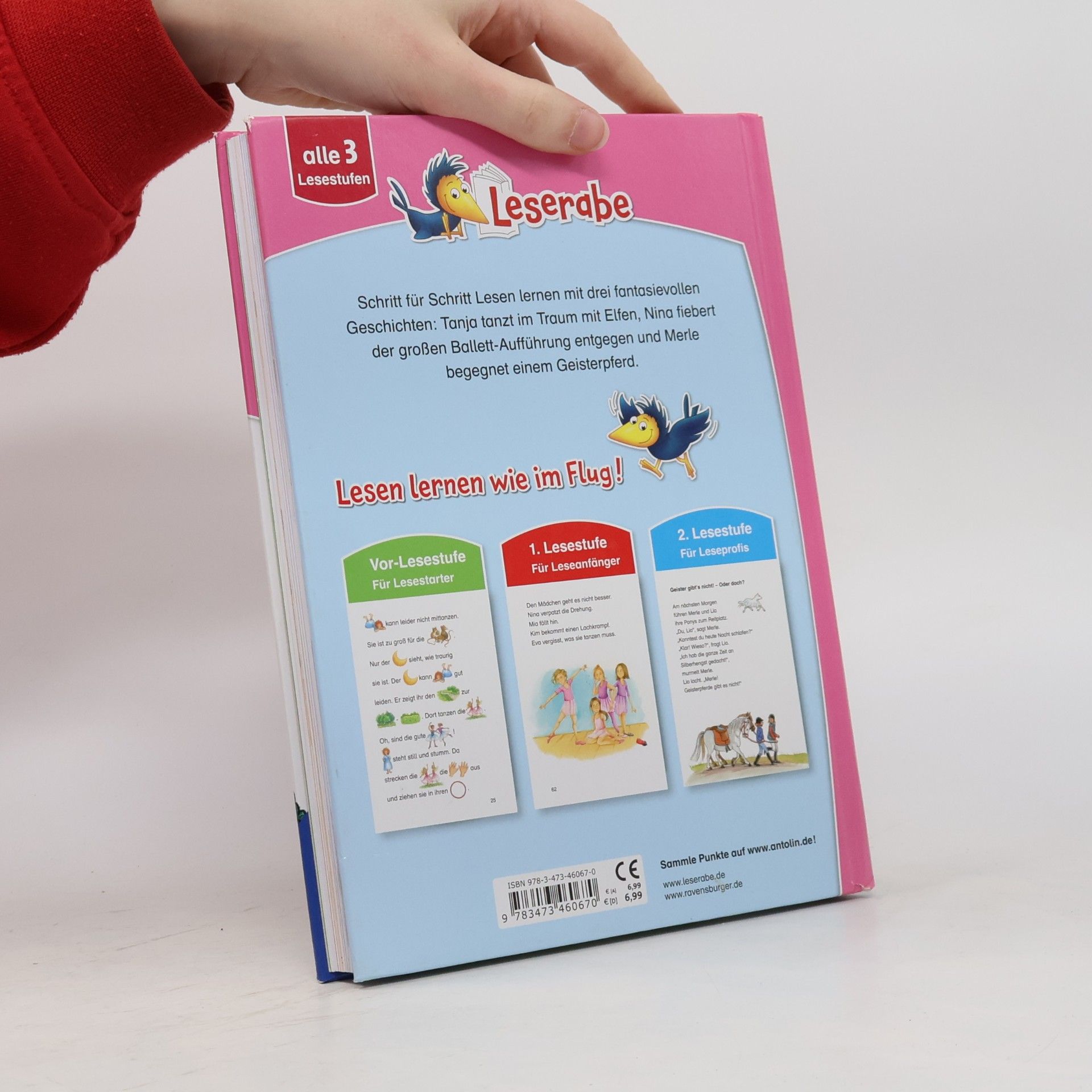 Ingrid Uebe Das große Leserabe Leselernbuch: Fantasiegeschichten - Leserabe ab der 1. Klasse - Erstlesebuch für Kinder ab 5 Jahren