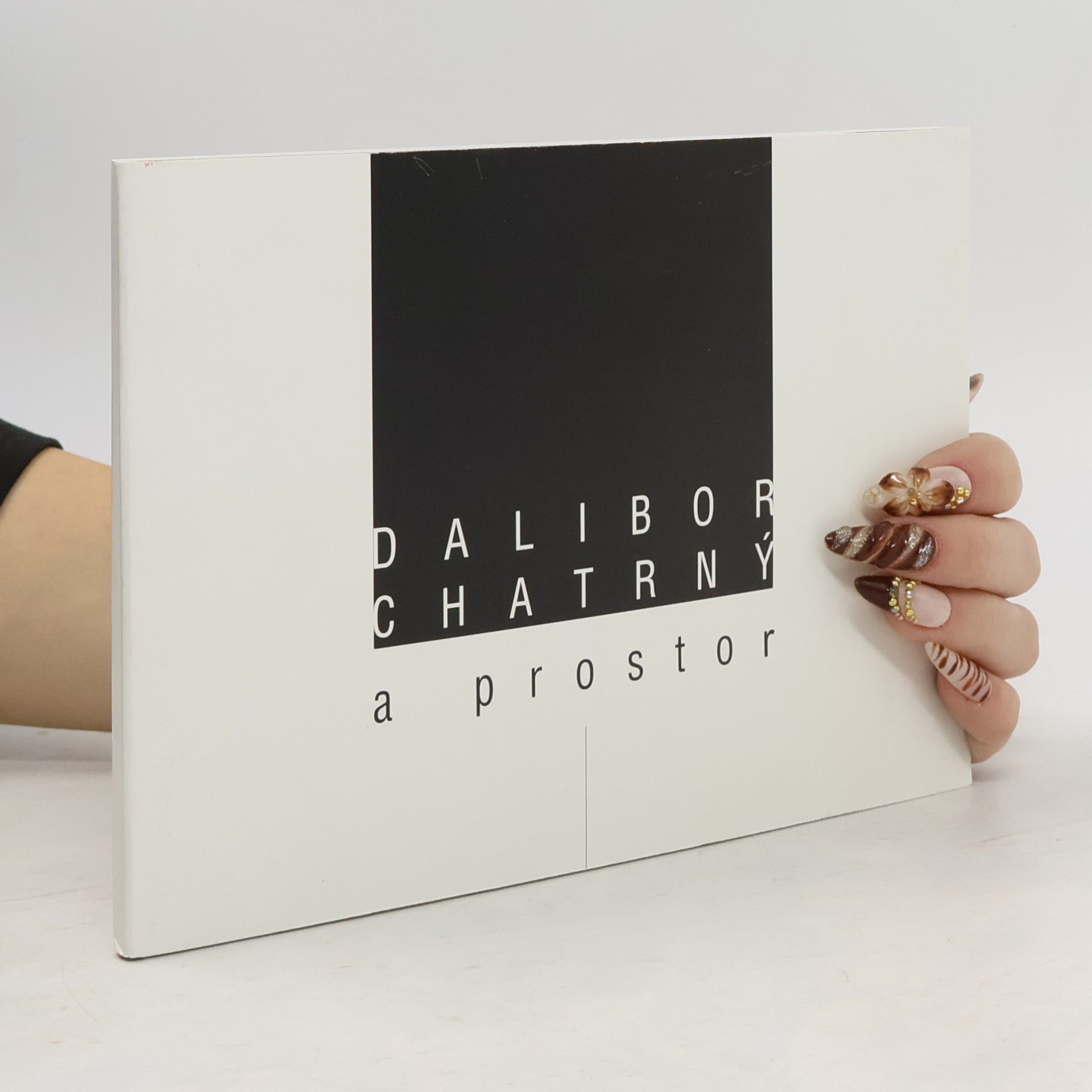 Dalibor Chatrný a prostor