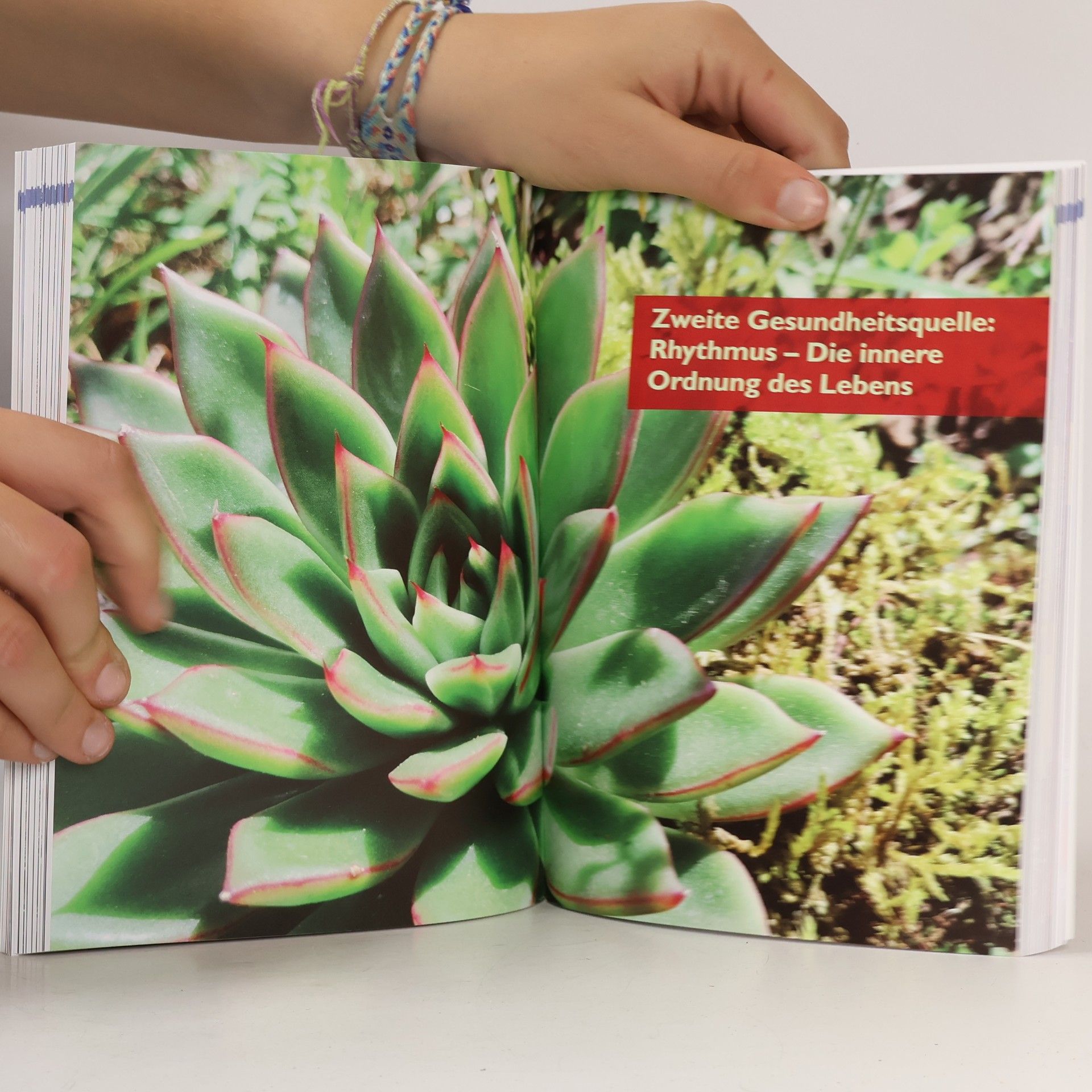 Jan Mergelsberg Das Post-Covid-Gesundheitsbuch