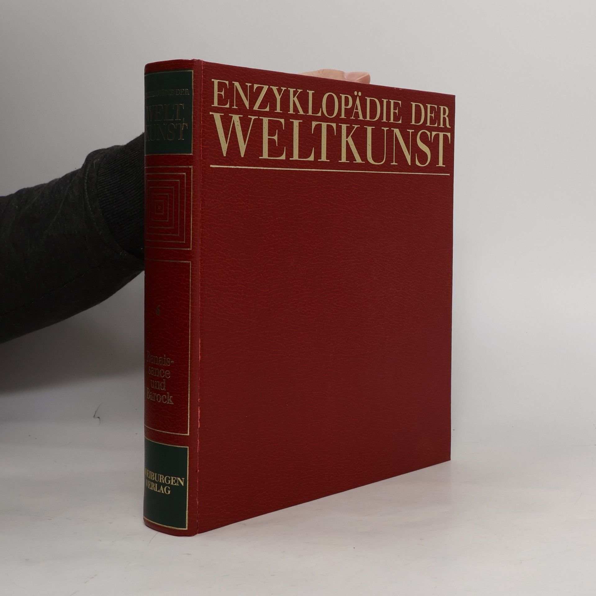 Collectif d'auteurs Enzyklopädie der Weltkunst 6. Renaissance und Barock