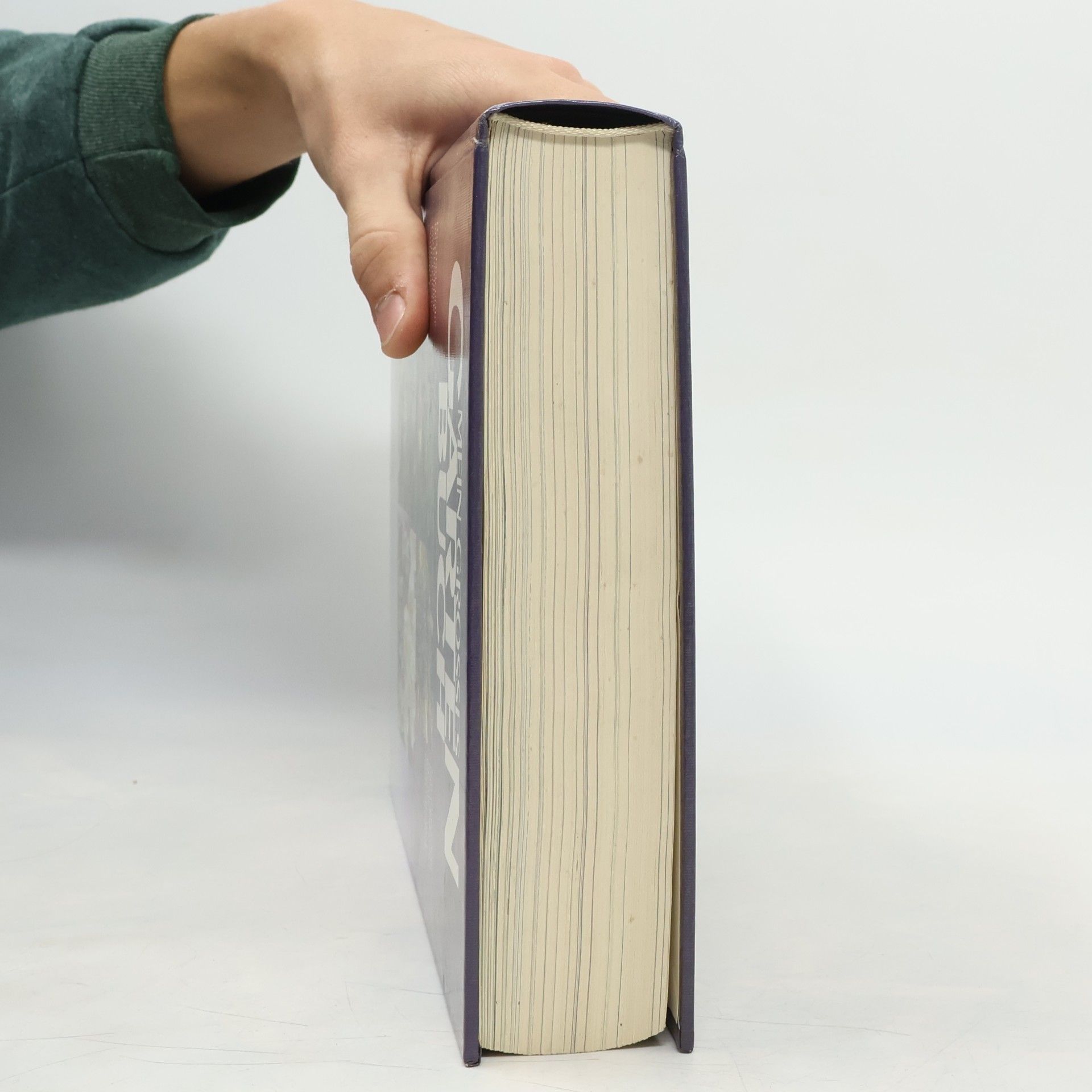Roberto Patelli Mein großes Gartenbuch
