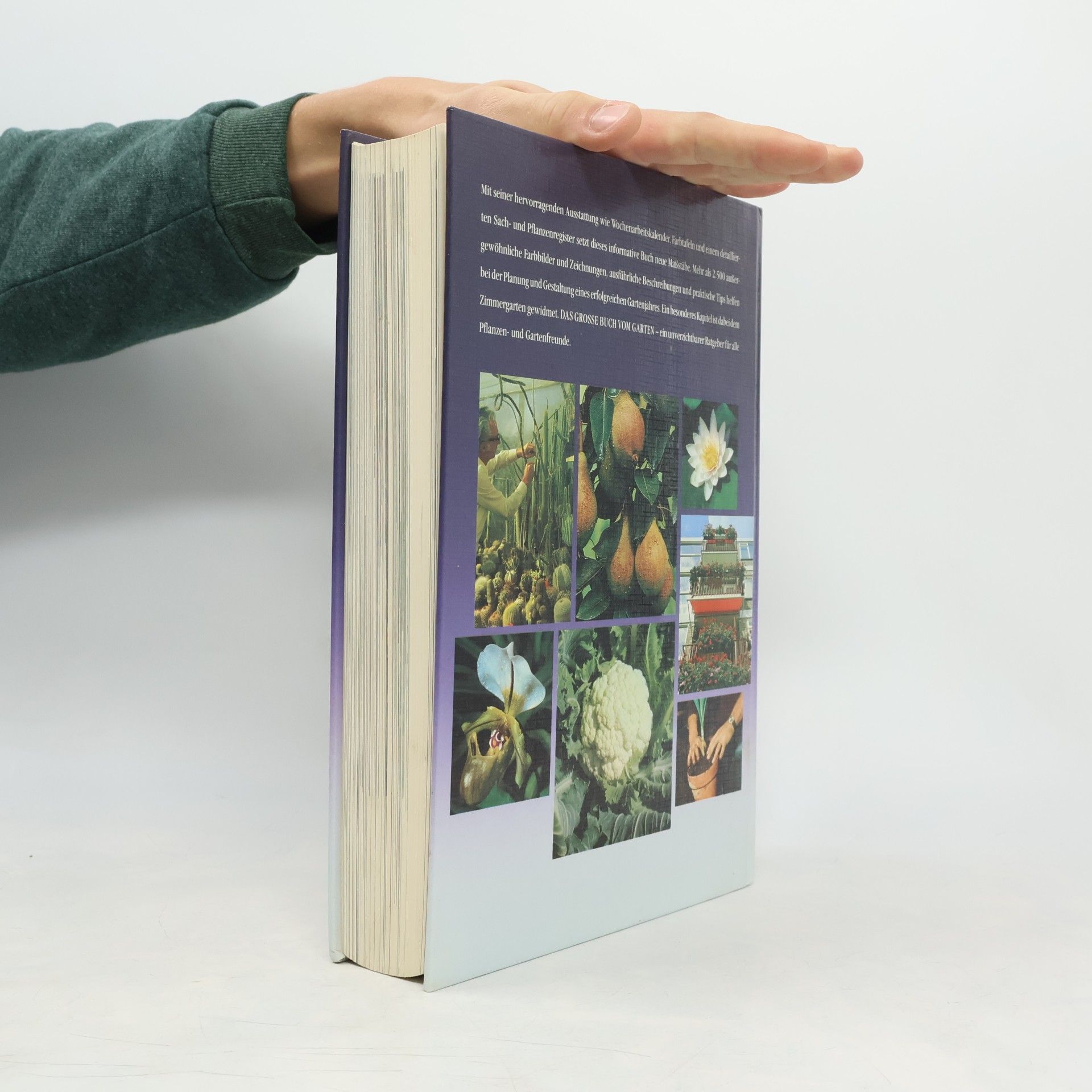 Roberto Patelli Mein großes Gartenbuch