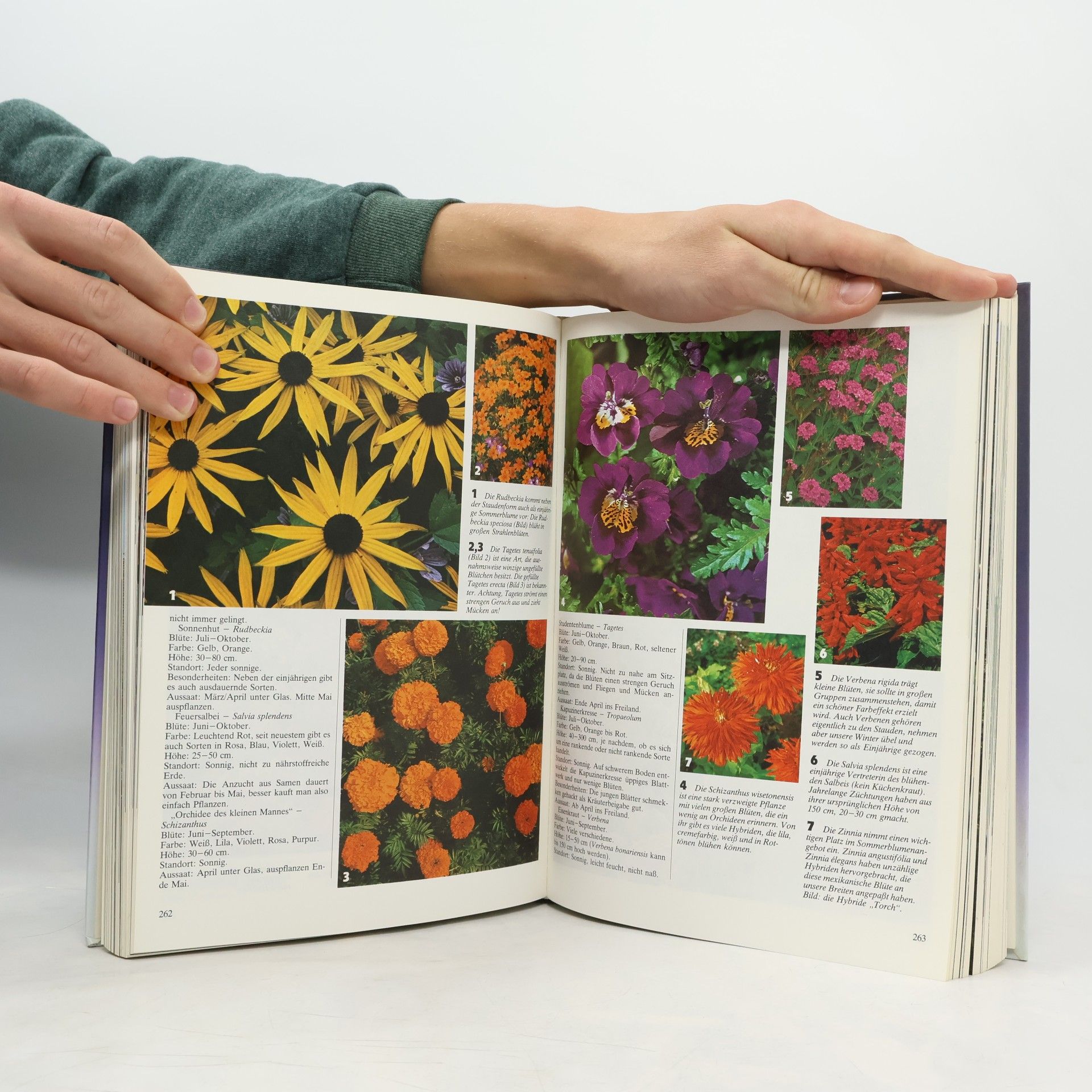 Roberto Patelli Mein großes Gartenbuch