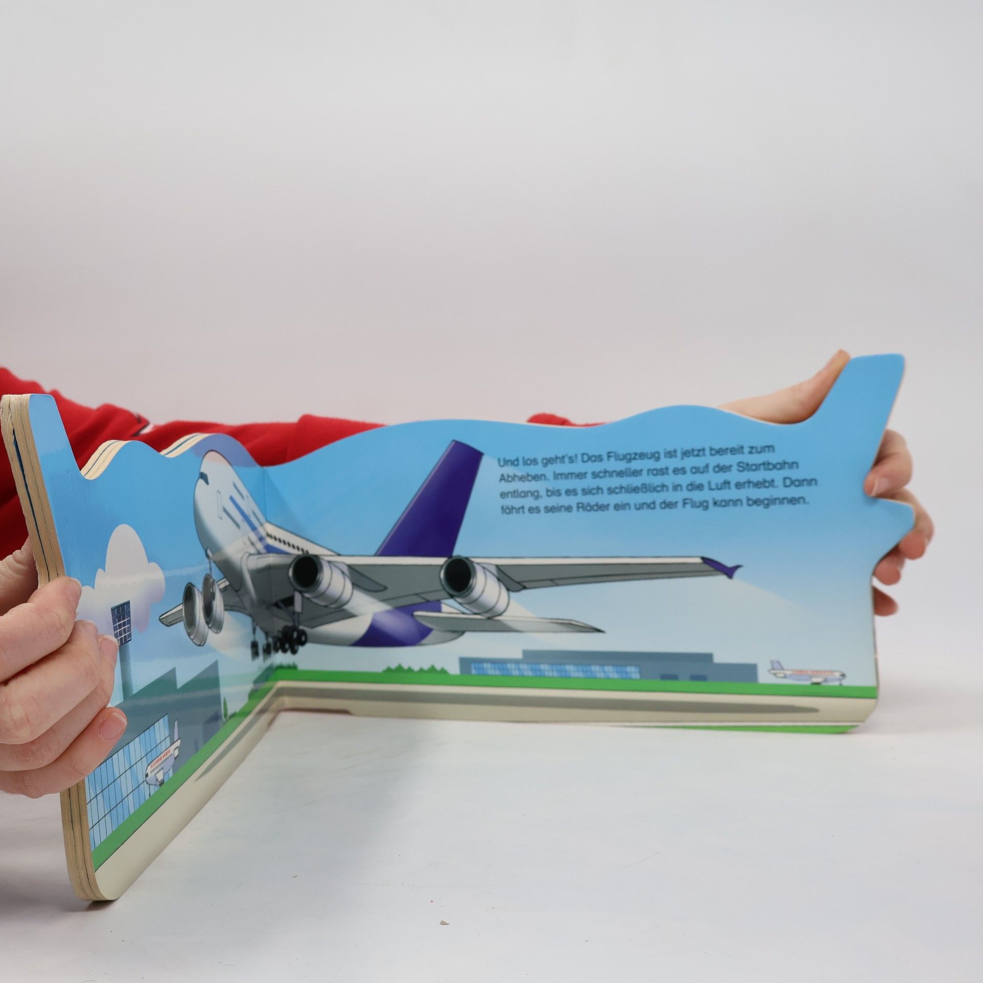 Mein erstes Buch vom Flugzeug