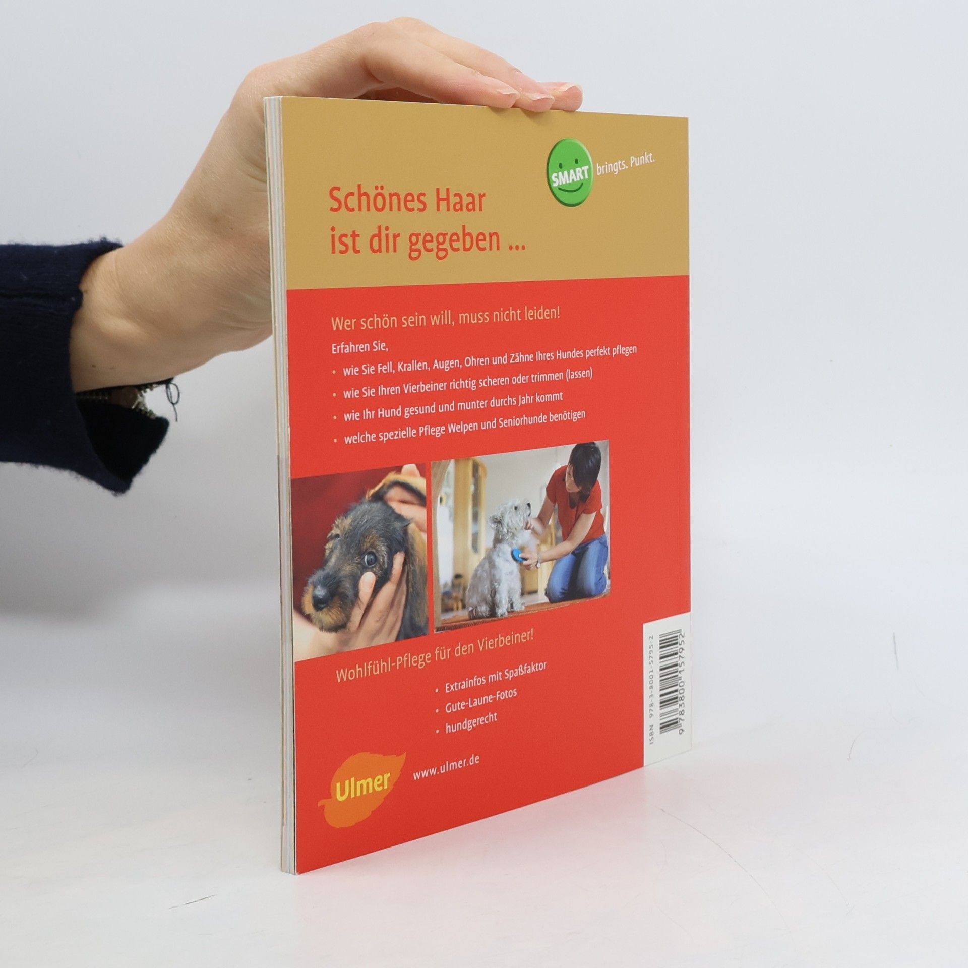 Anna Laukner Hunde pflegen