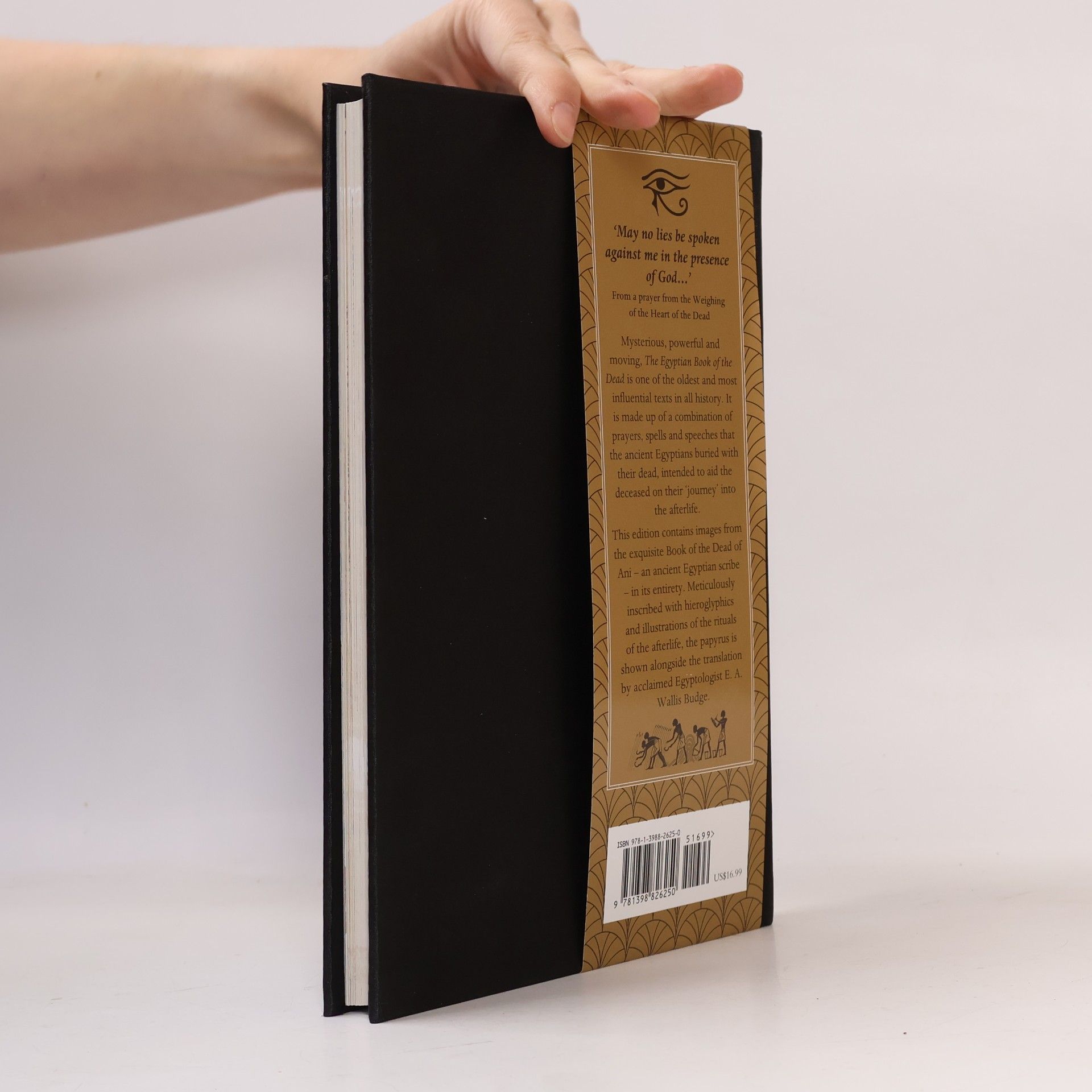 Arcturus Publishing The Egyptian Book of the Dead