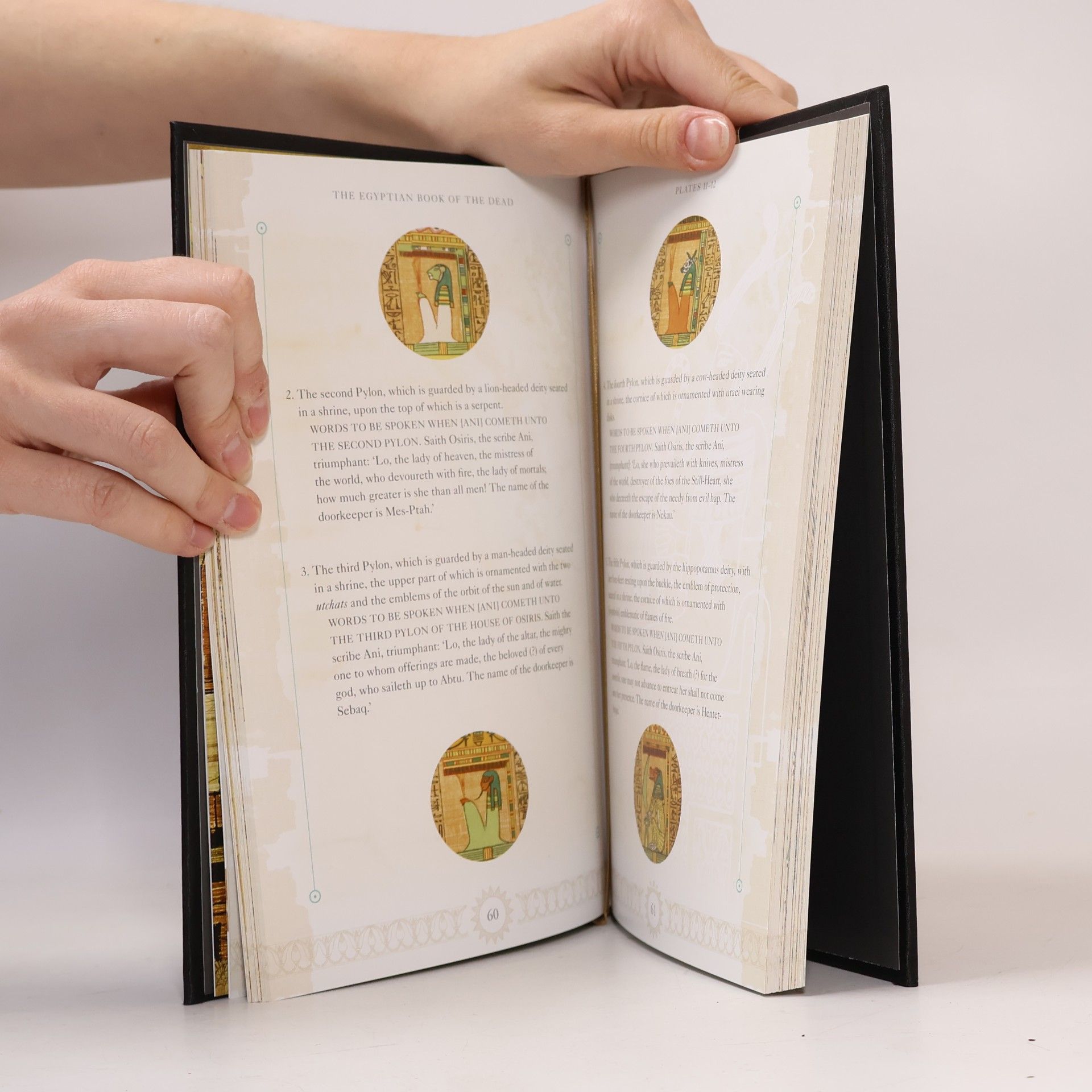 Arcturus Publishing The Egyptian Book of the Dead
