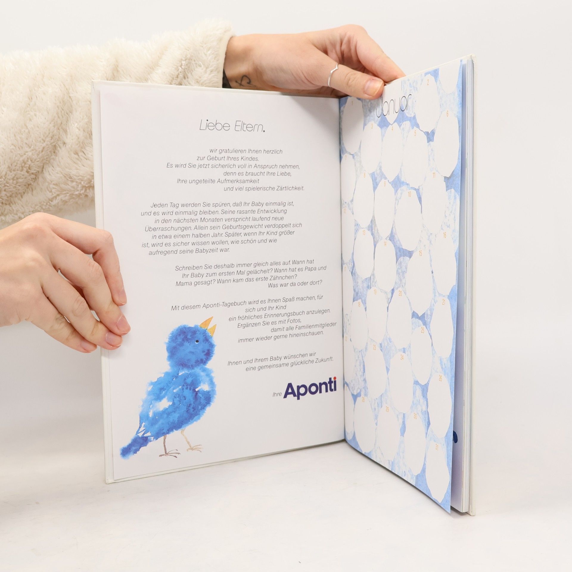 Collectif d'auteurs Rund ums Jahr mit unserem Baby