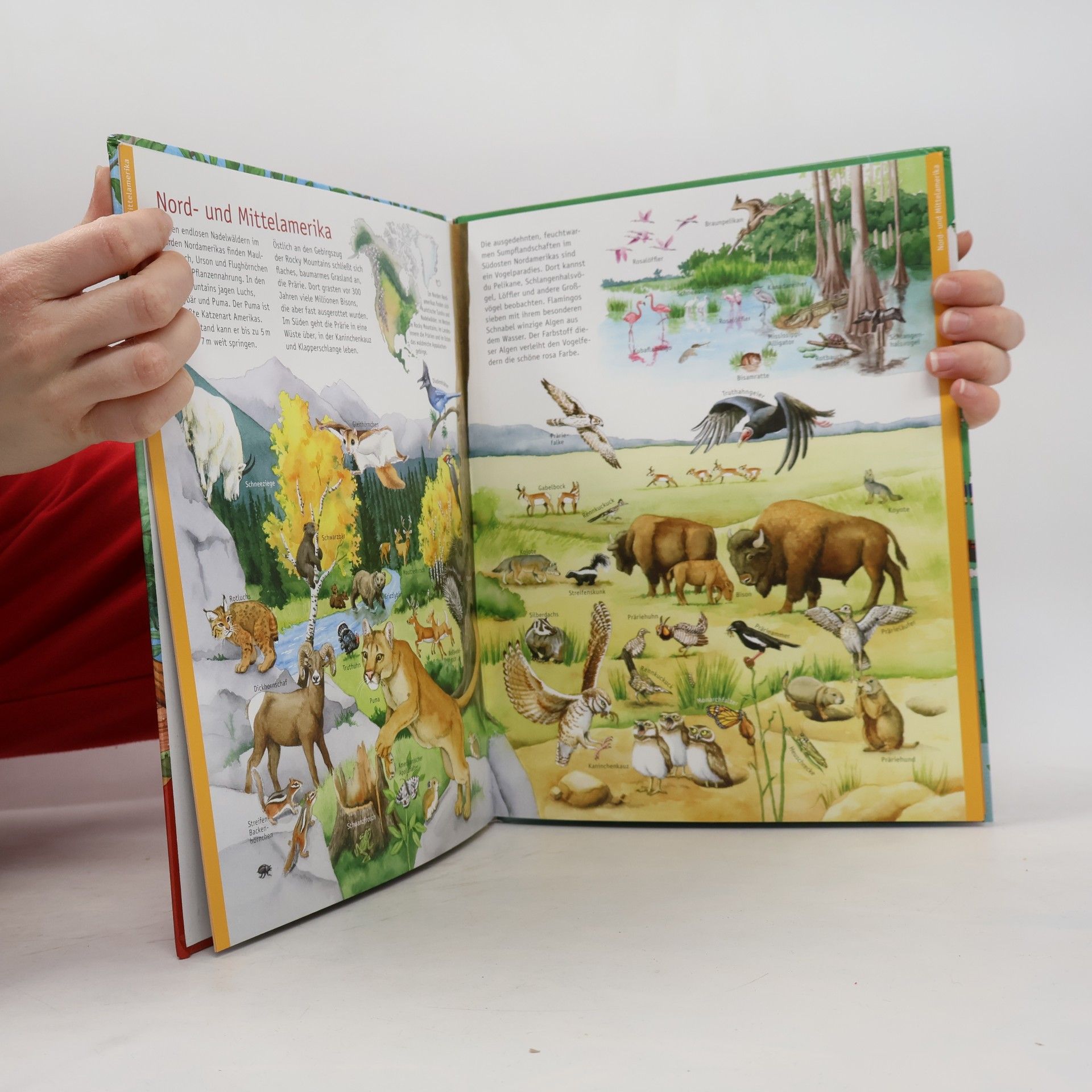 Kolektív autorov Mein großer Atlas der Erde und ihrer Tiere