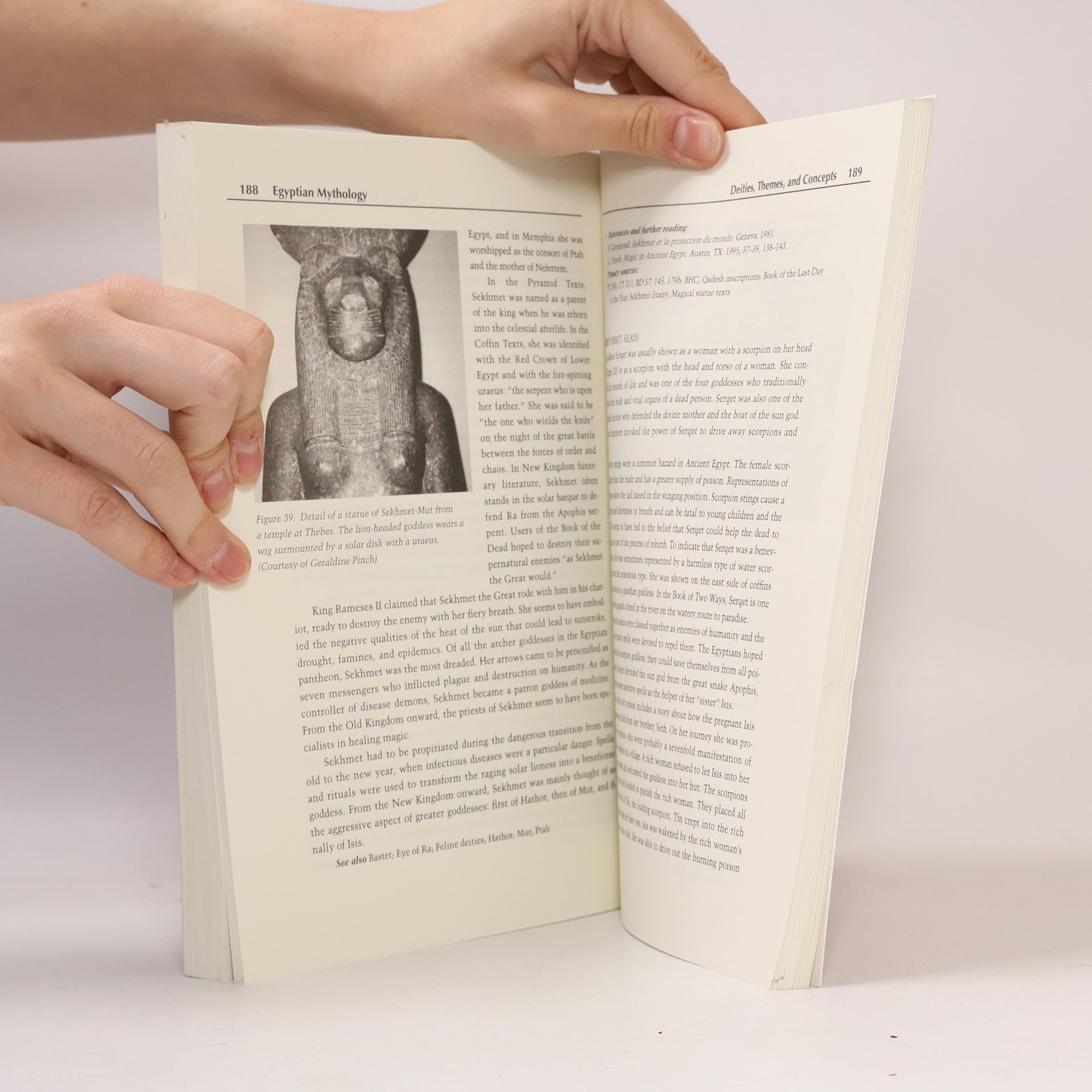 Geraldine Pinch Egyptian mythology : a guide to the gods, goddesses, and traditions of ancient Egypt