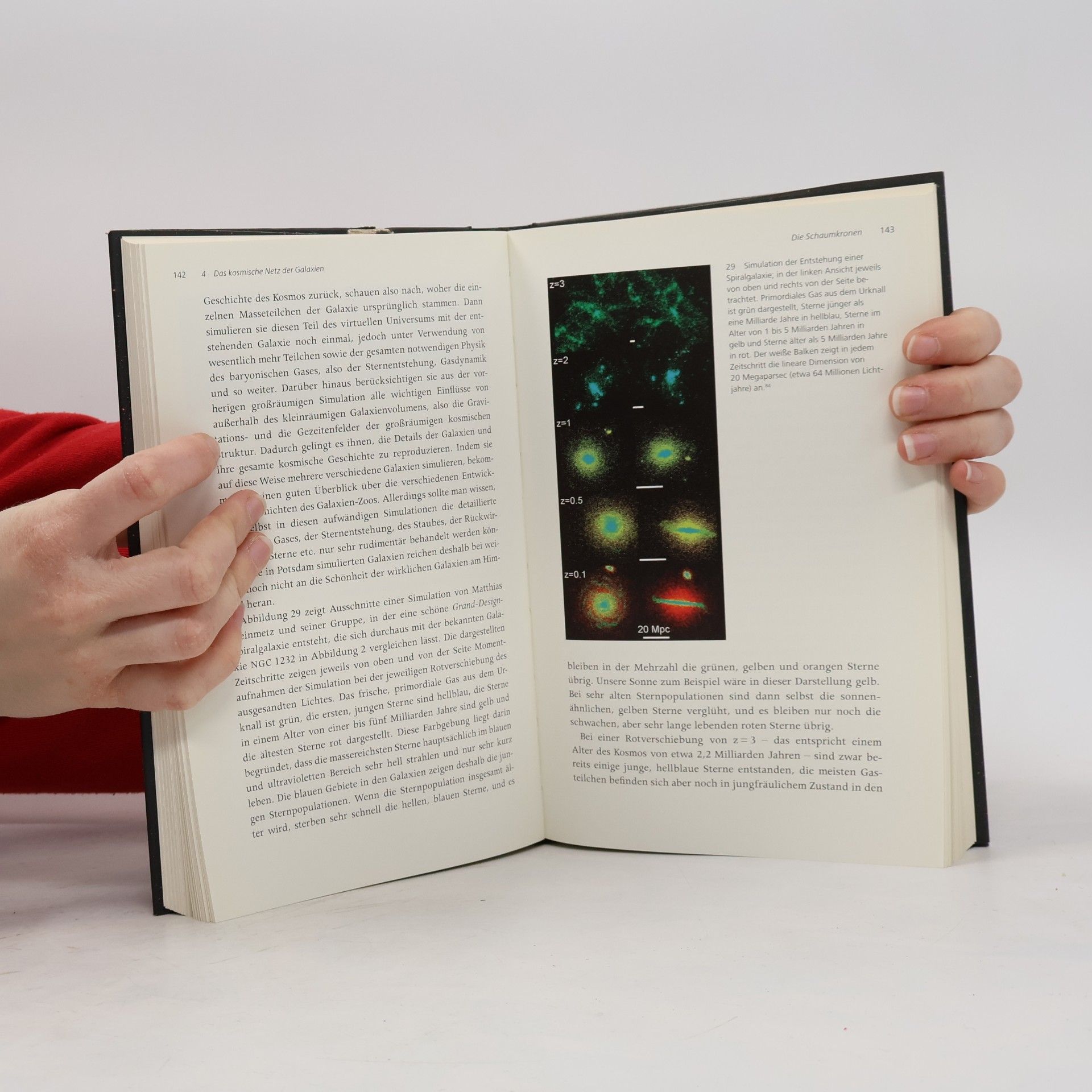 Günther Hasinger Das Schicksal des Universums