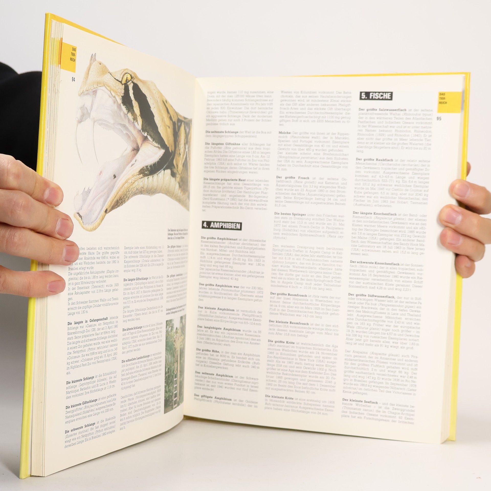 Autorenkollektiv Das neue Guinness Buch der Rekorde 1986