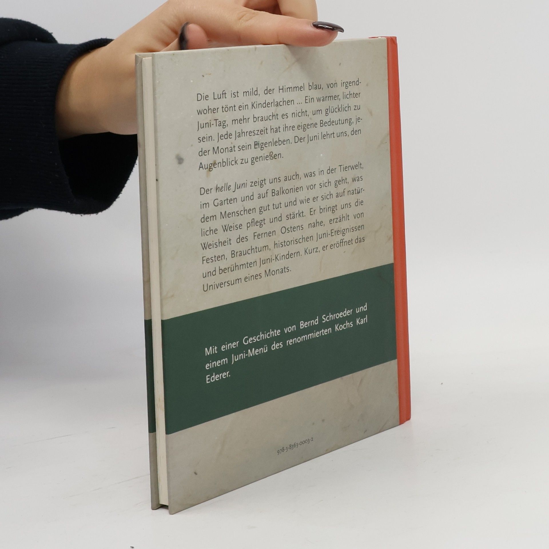 Bernd Schroeder Das Buch vom hellen Juni