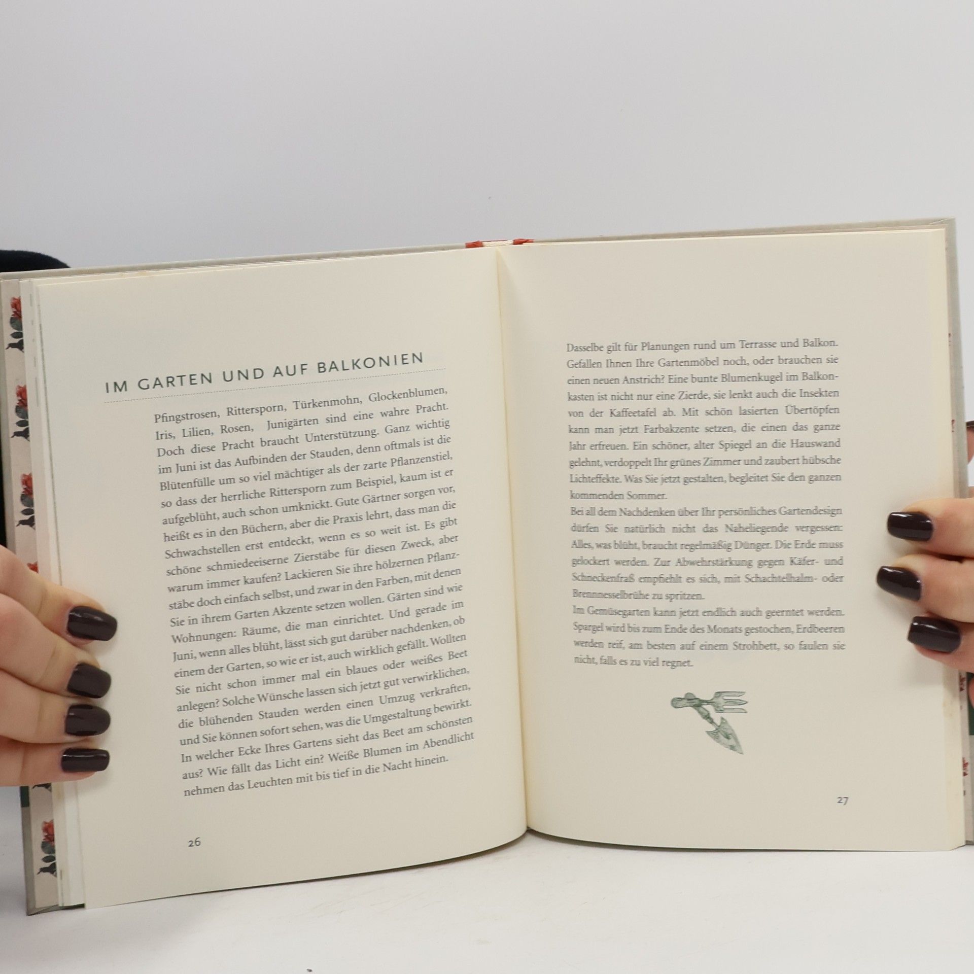 Bernd Schroeder Das Buch vom hellen Juni