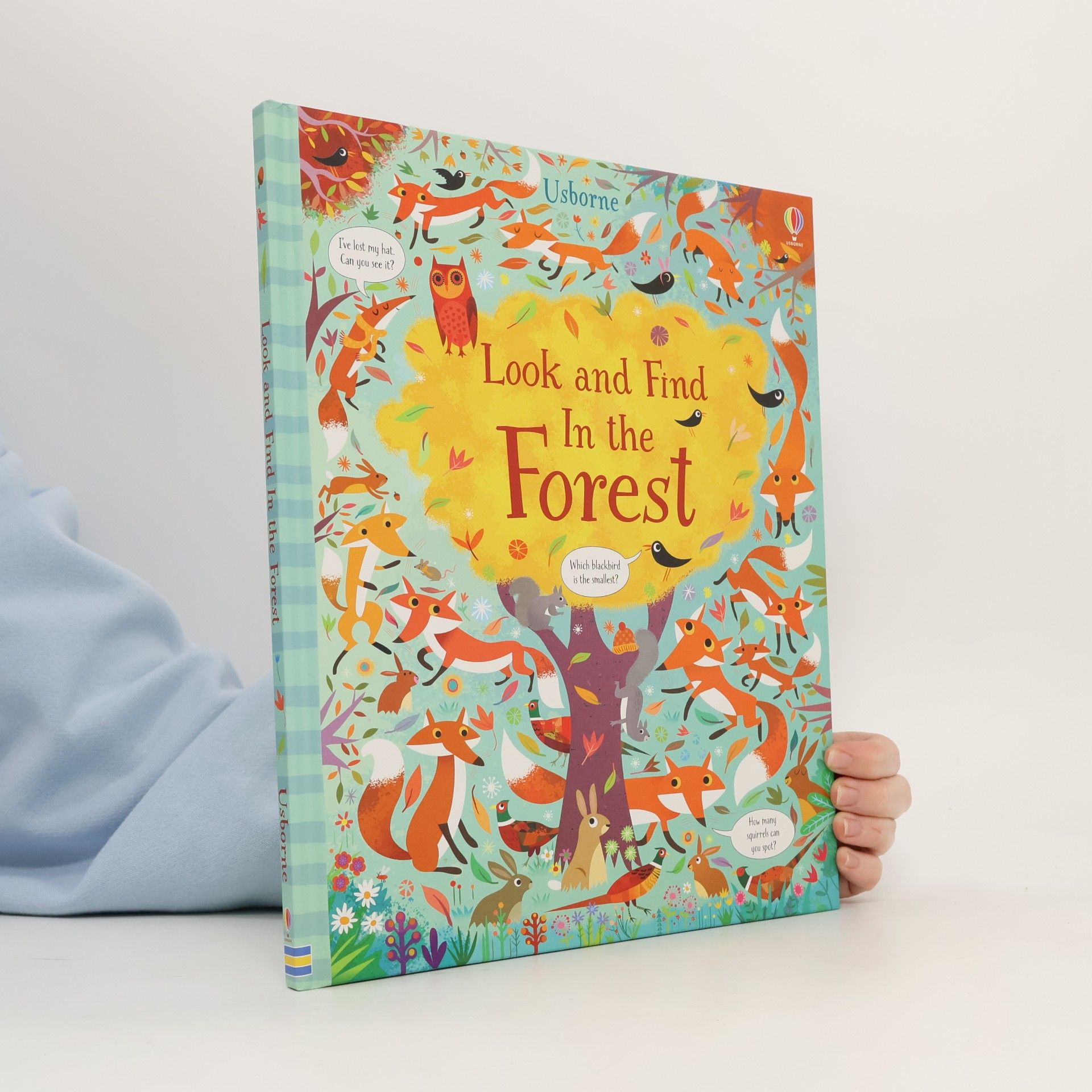 Look and Find In the Forest