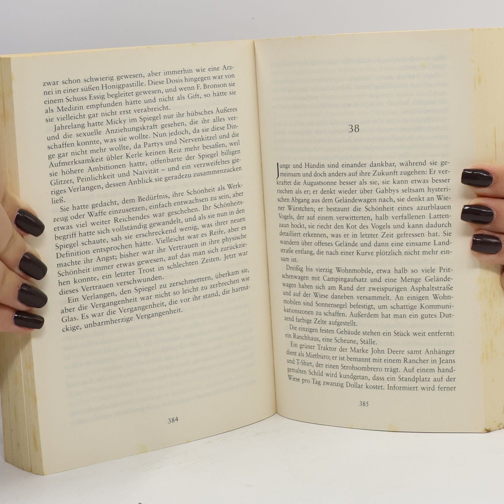 Dean Ray Koontz Bote der Nacht